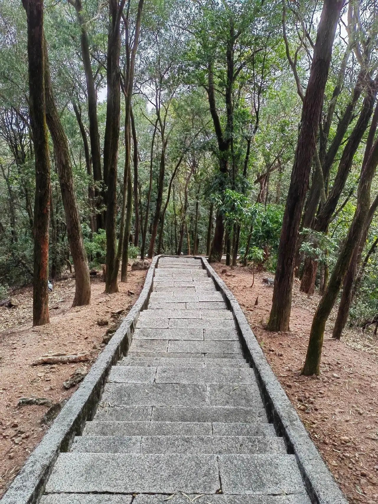 西樵山风景名胜区旅行图片 1