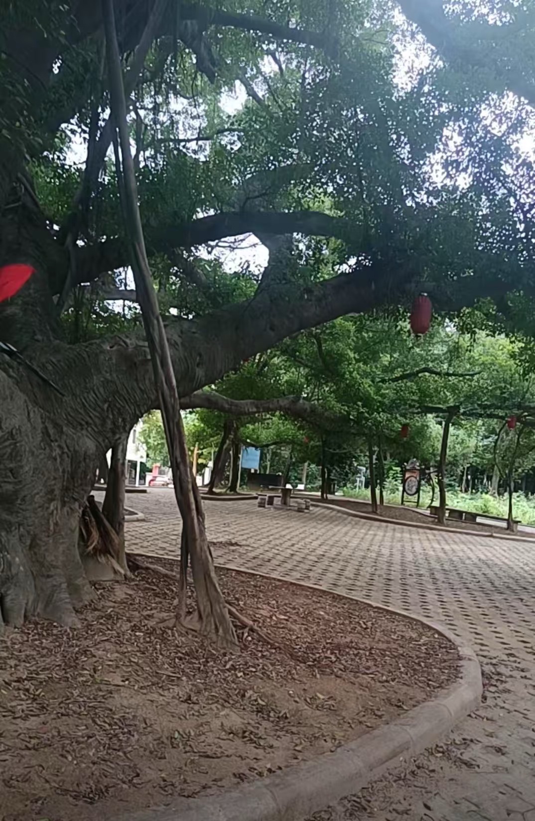 大地公园旅行图片 2