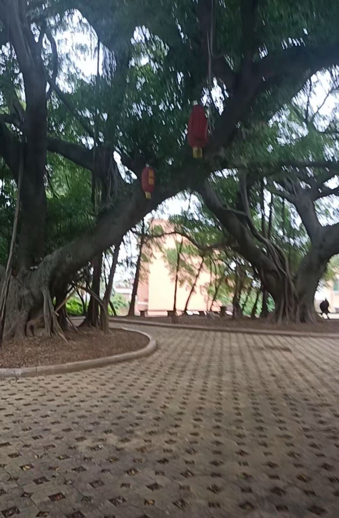 大地公园旅行图片 1