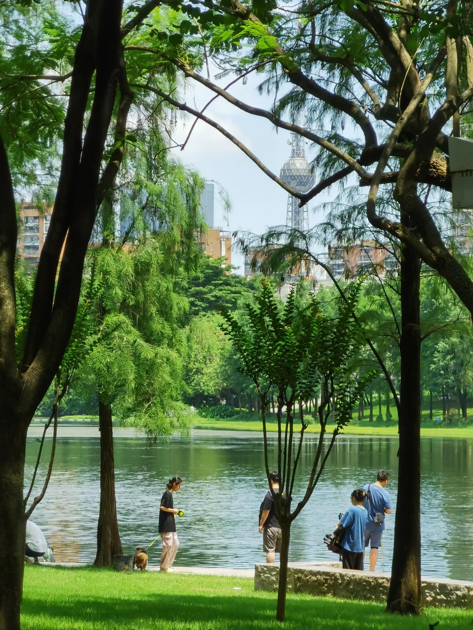 荷村公园旅行图片 1