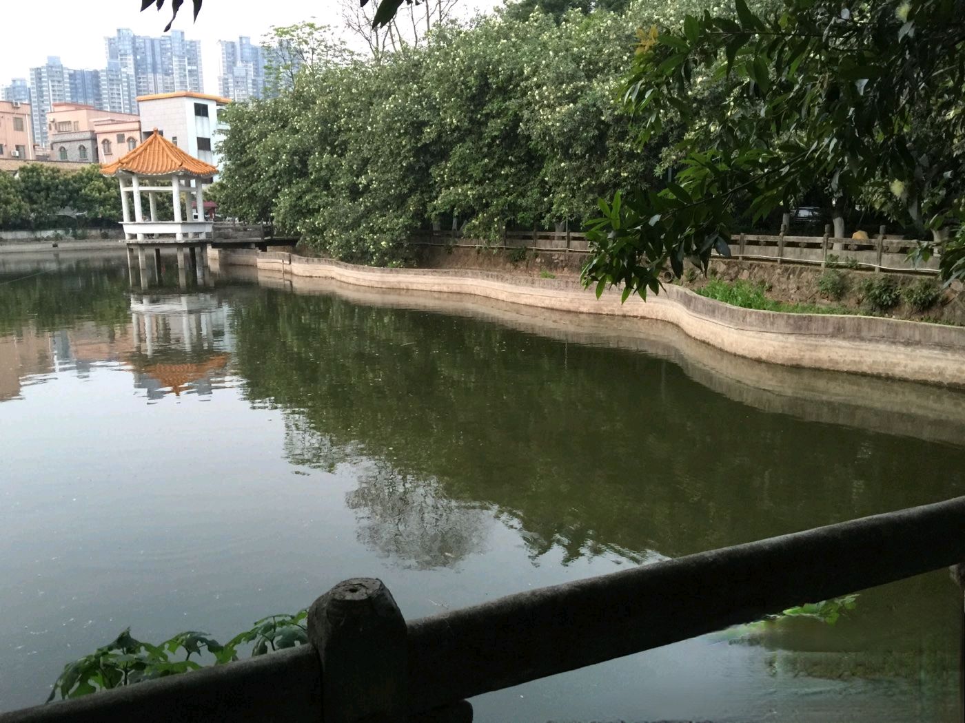 荷村公园旅行图片 2