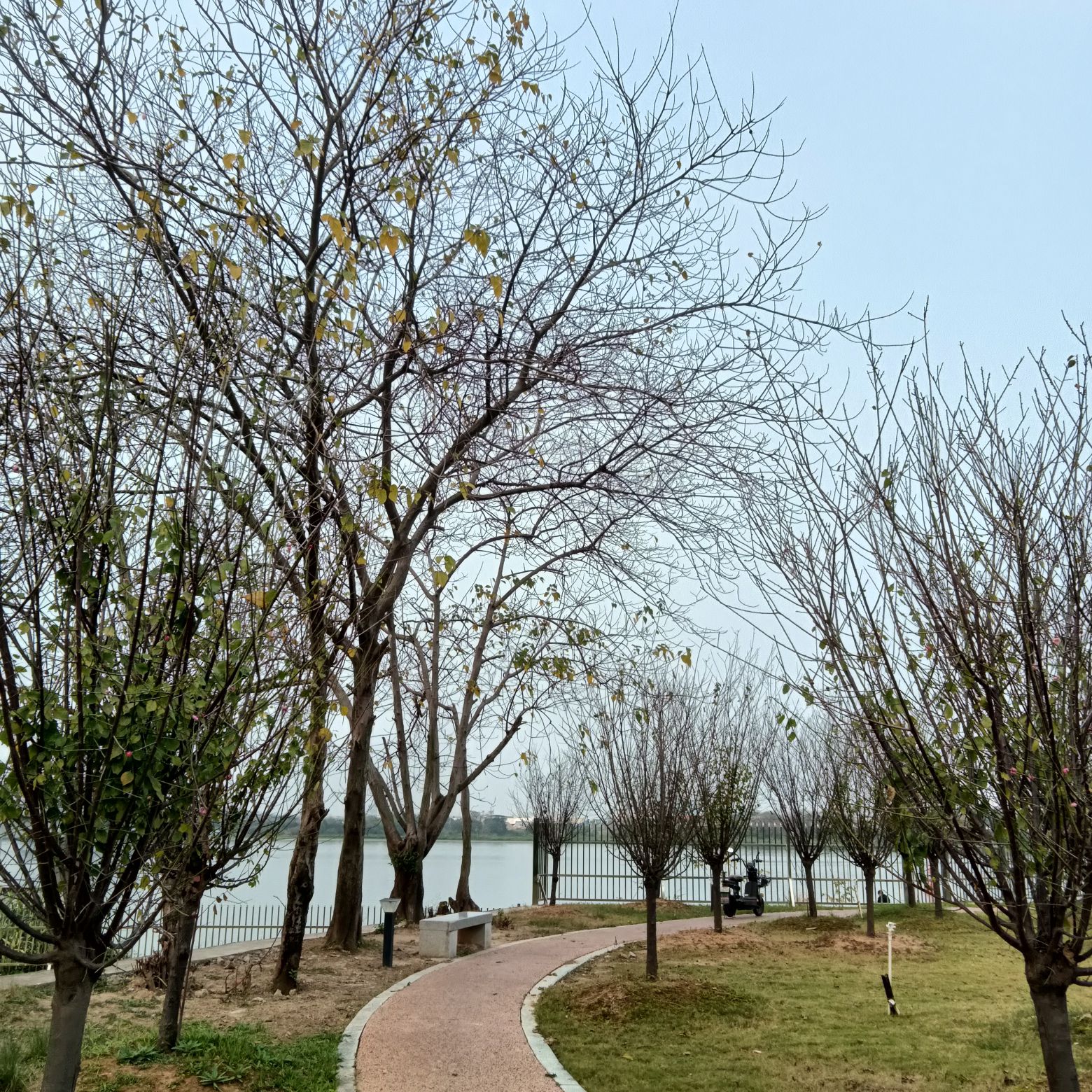 华光公园旅行图片 2