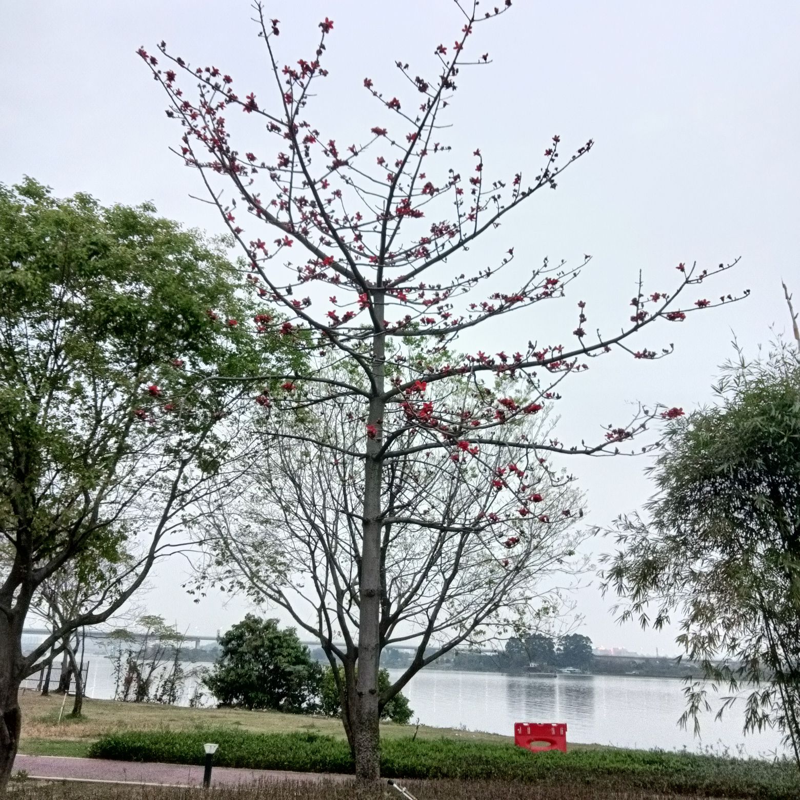 华光公园旅行图片 1