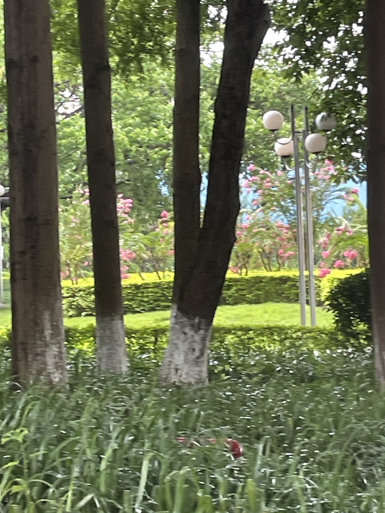 灵龟园旅行图片 3
