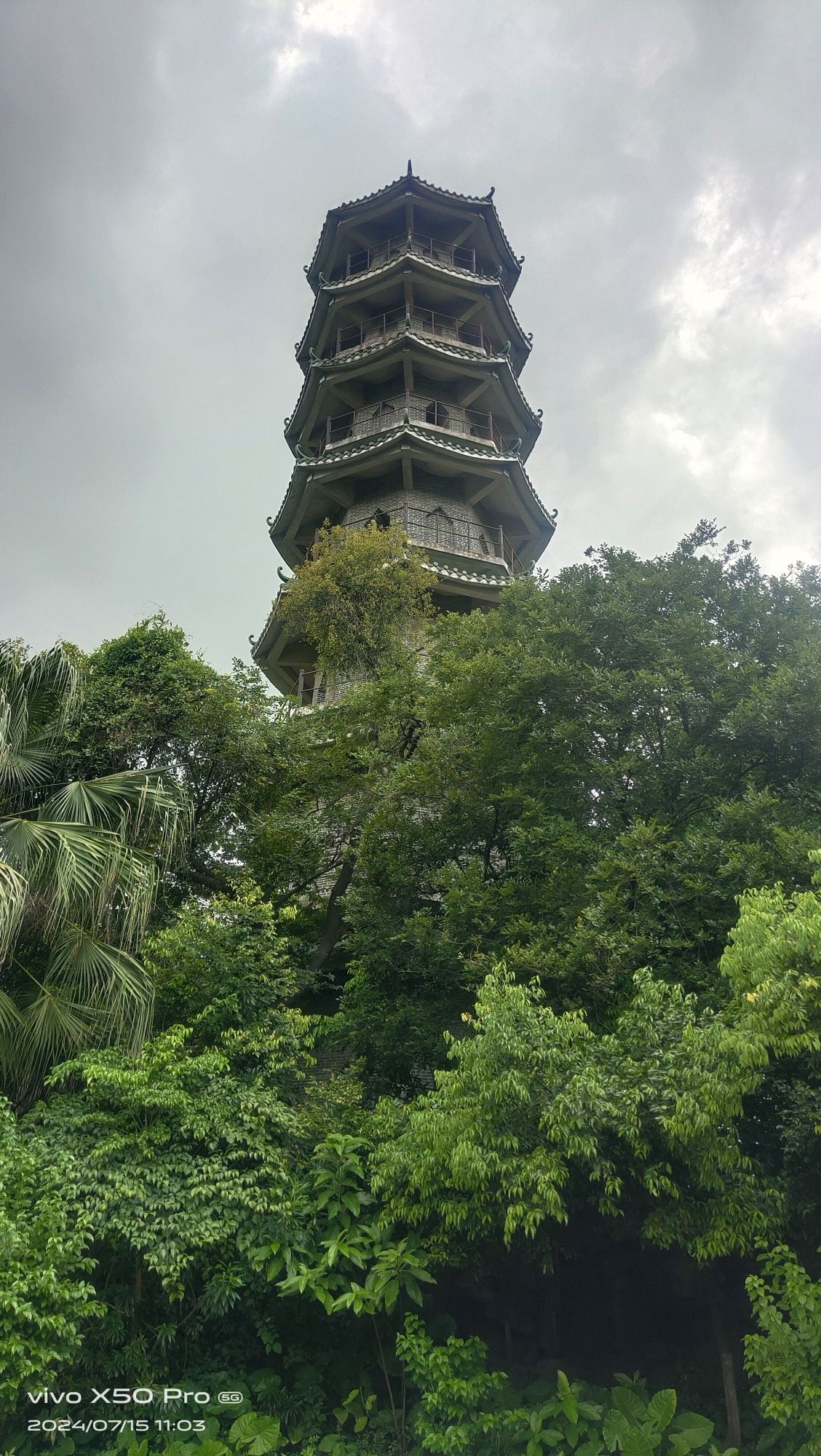 华山公园旅行图片 3
