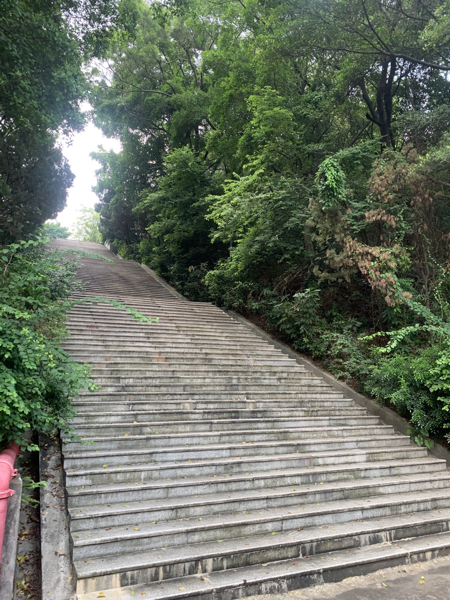 凤岭公园旅行图片 2