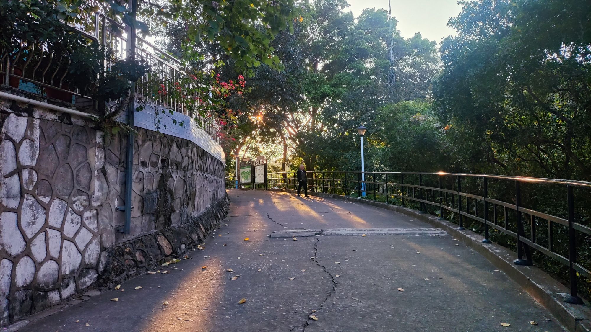 凤岭公园旅行图片 2