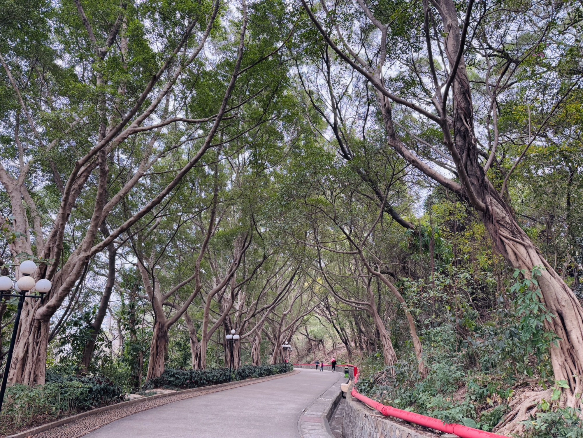 凤岭公园旅行图片 2