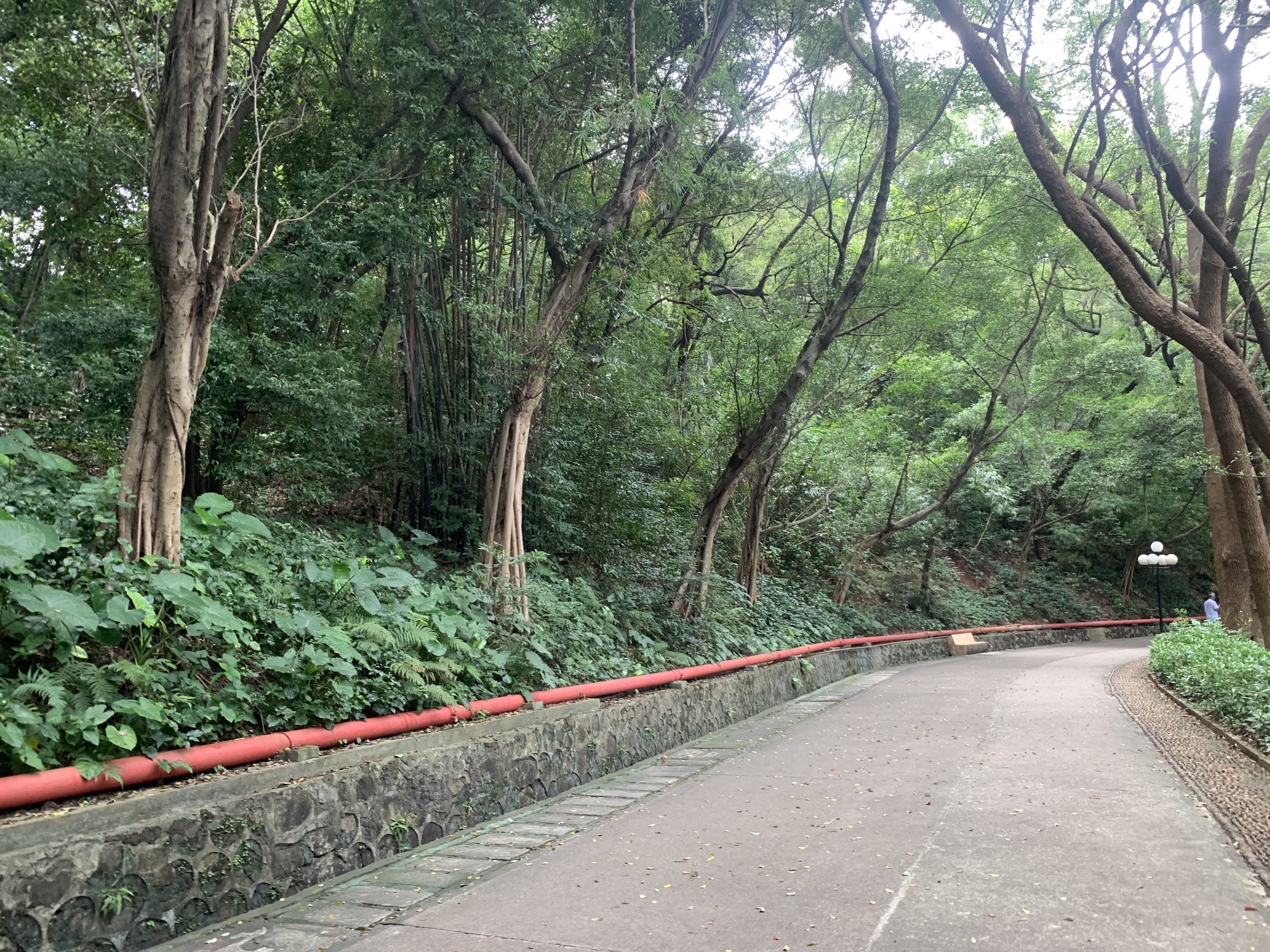 凤岭公园旅行图片 3