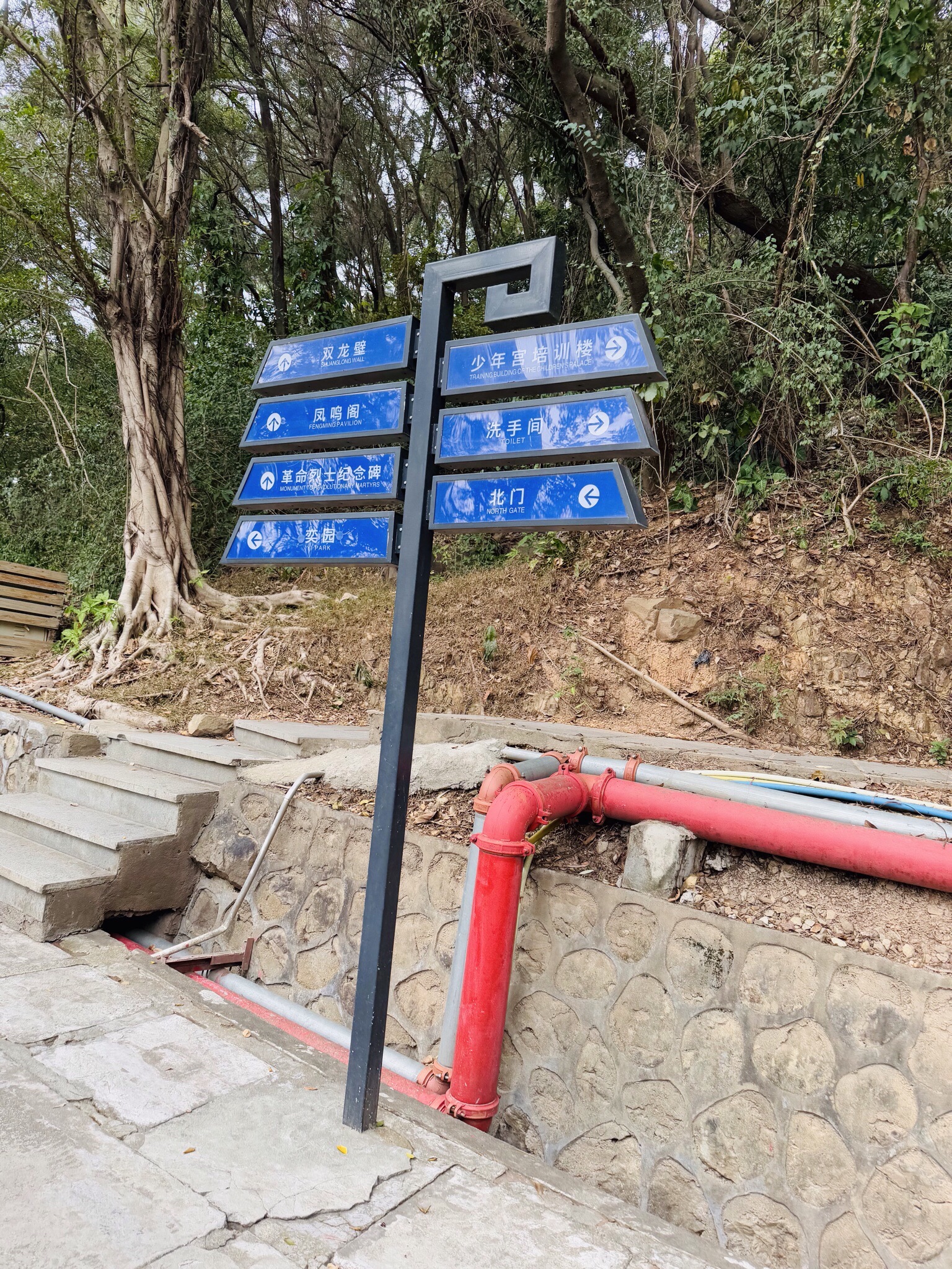 凤岭公园旅行图片 1