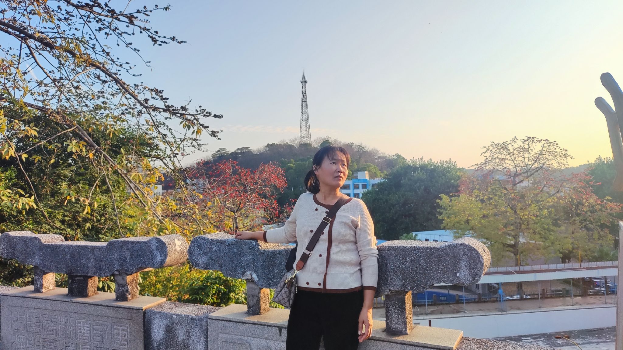 凤岭公园旅行图片 3