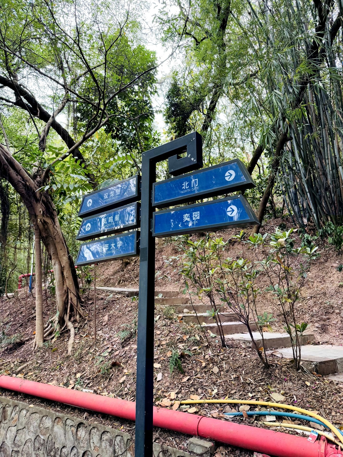 凤岭公园旅行图片 2