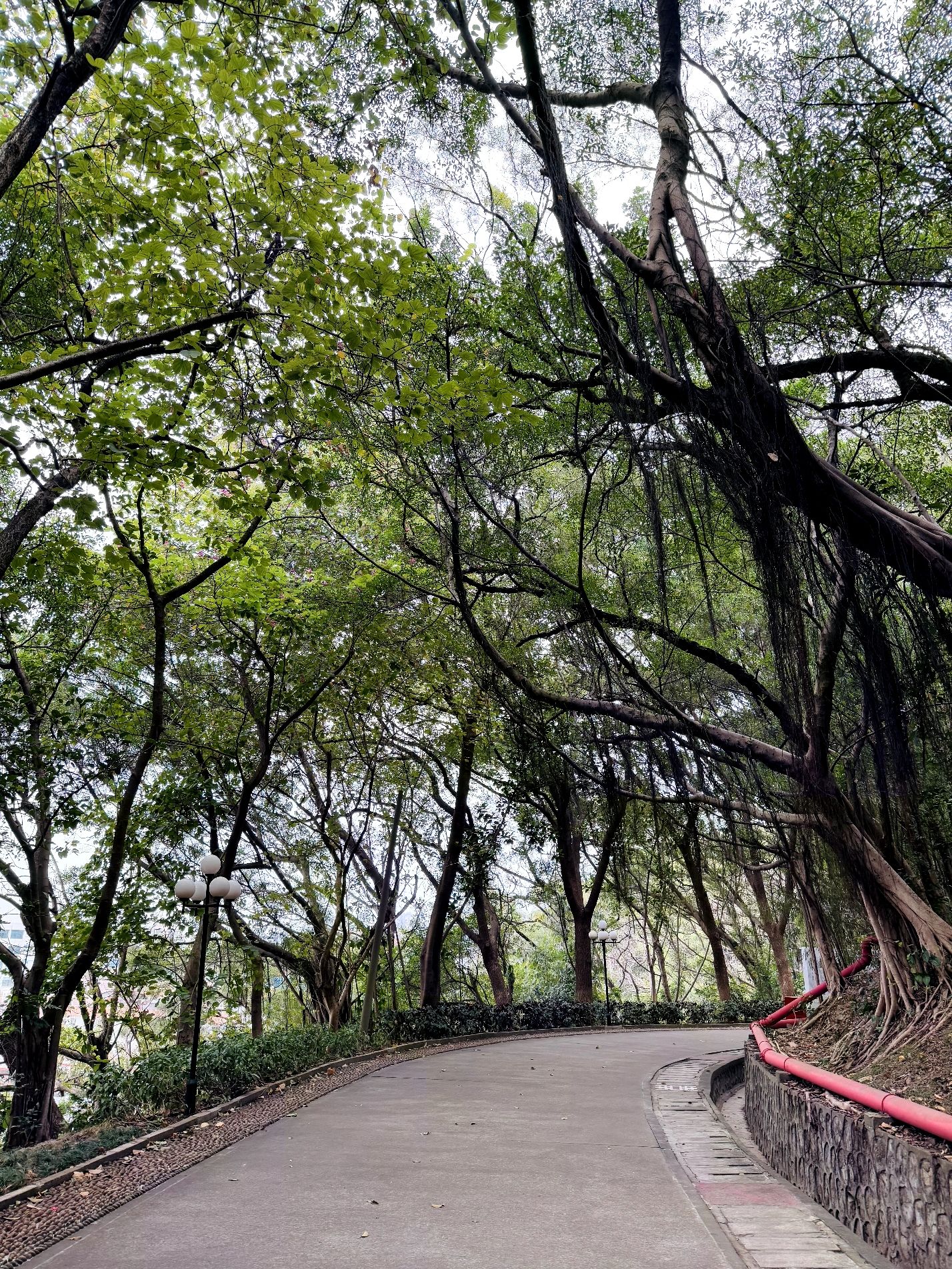 凤岭公园旅行图片 1