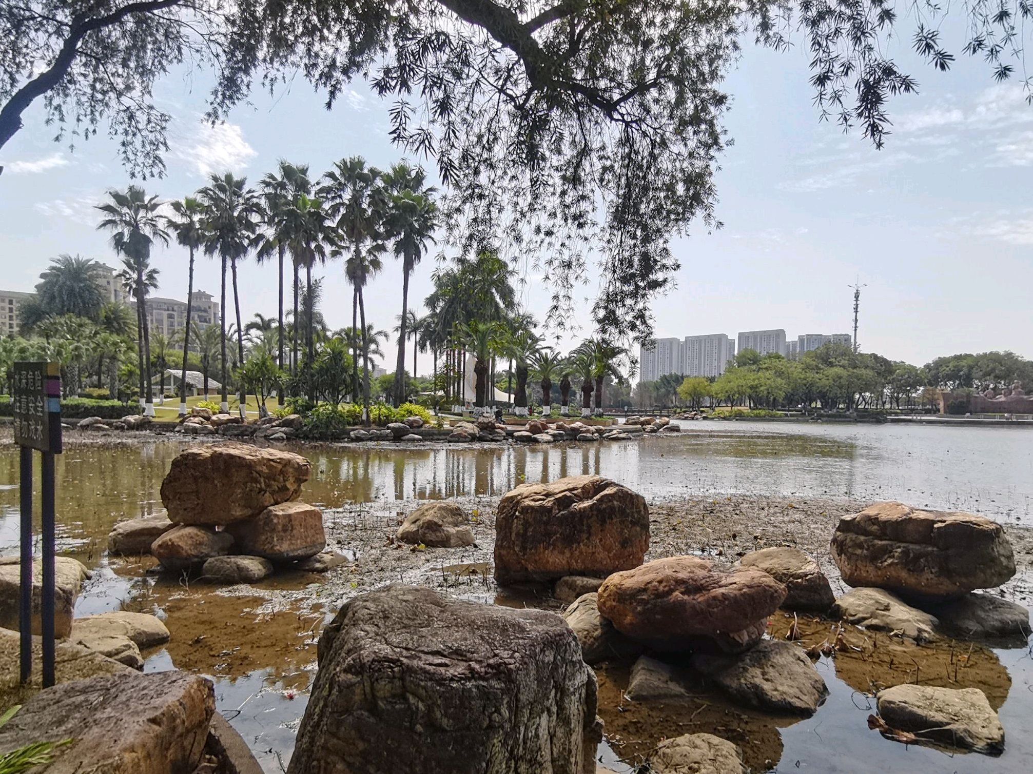 乐从文化公园旅行图片 2