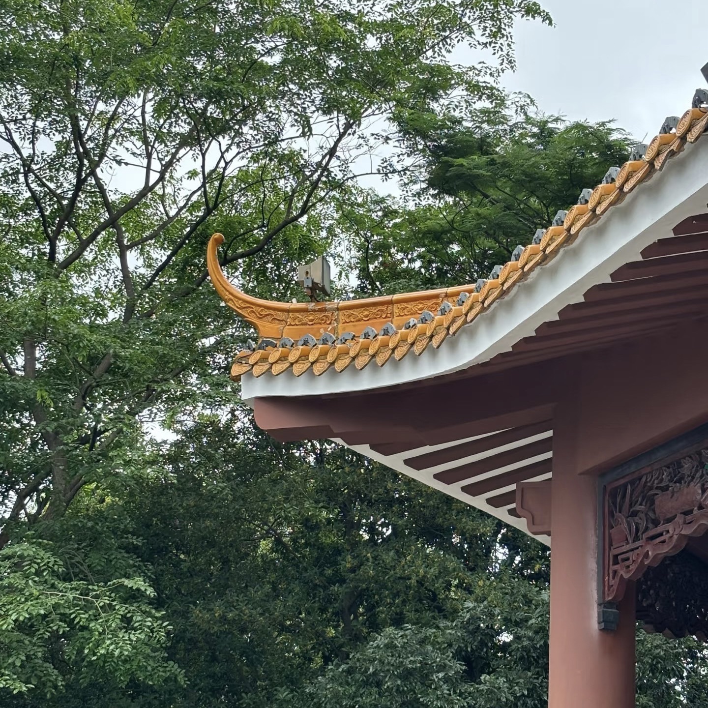 道教公园旅行图片