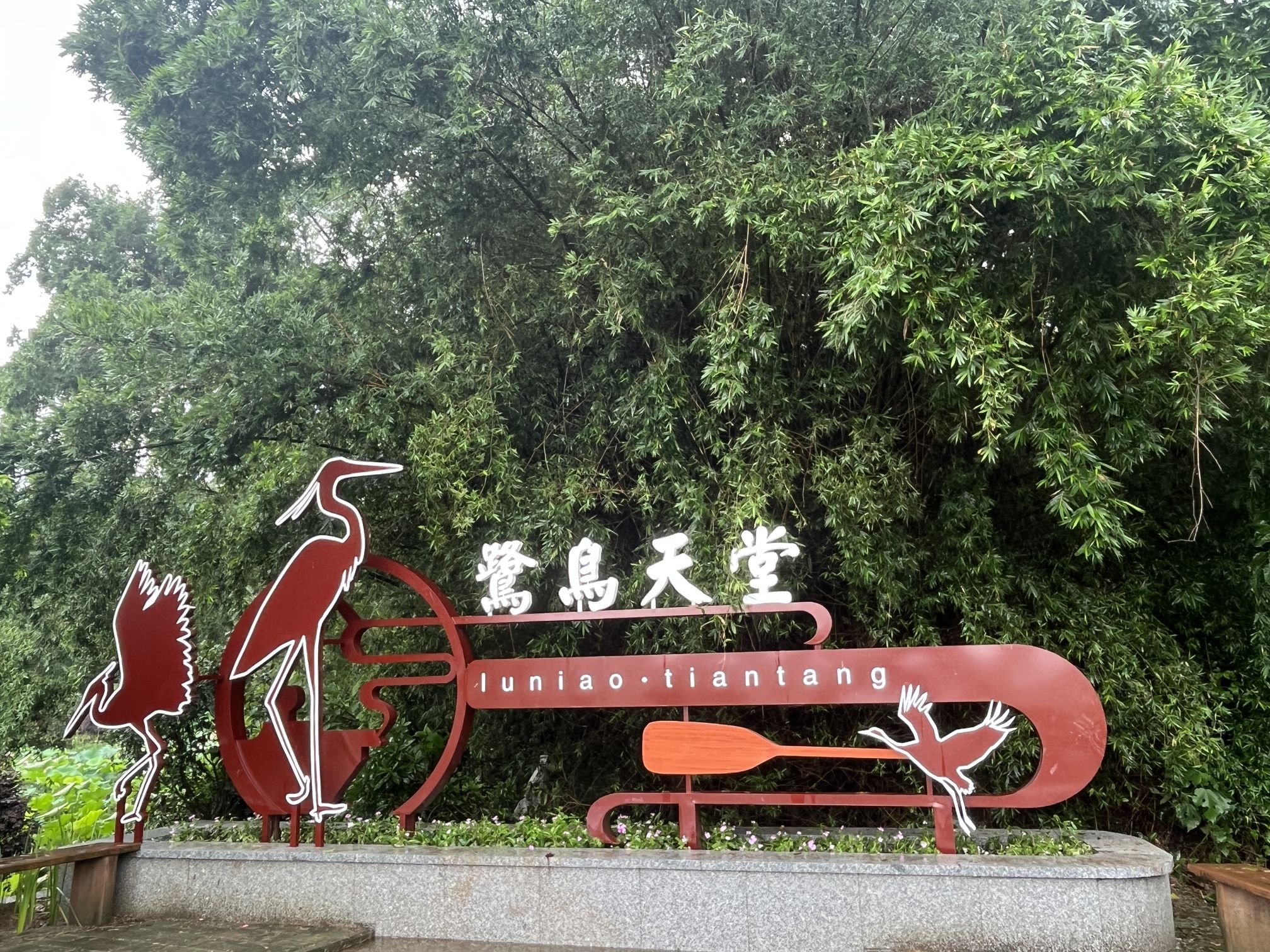 璜矶鹭鸟天堂旅行图片 2