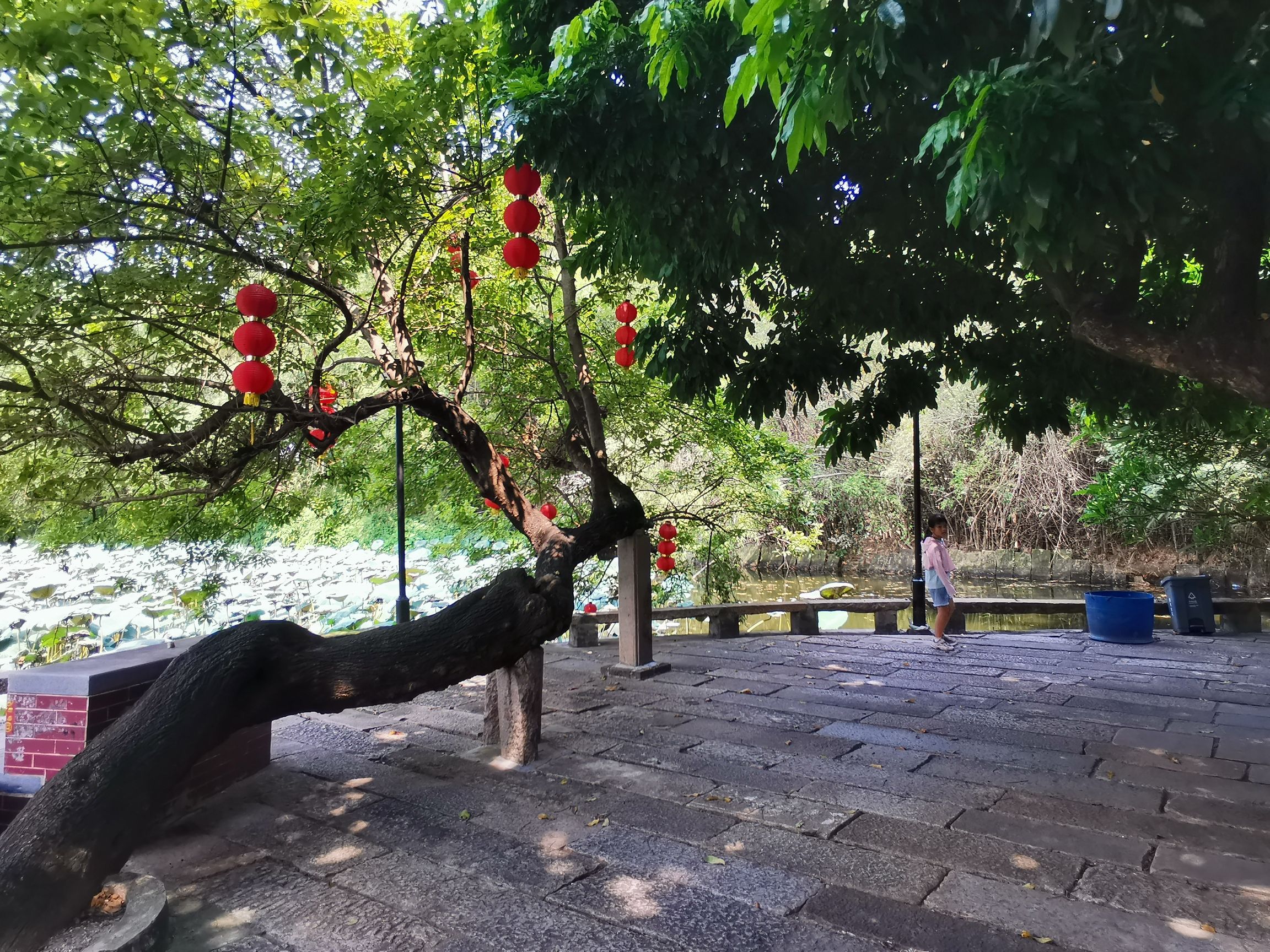 璜矶鹭鸟天堂旅行图片 3