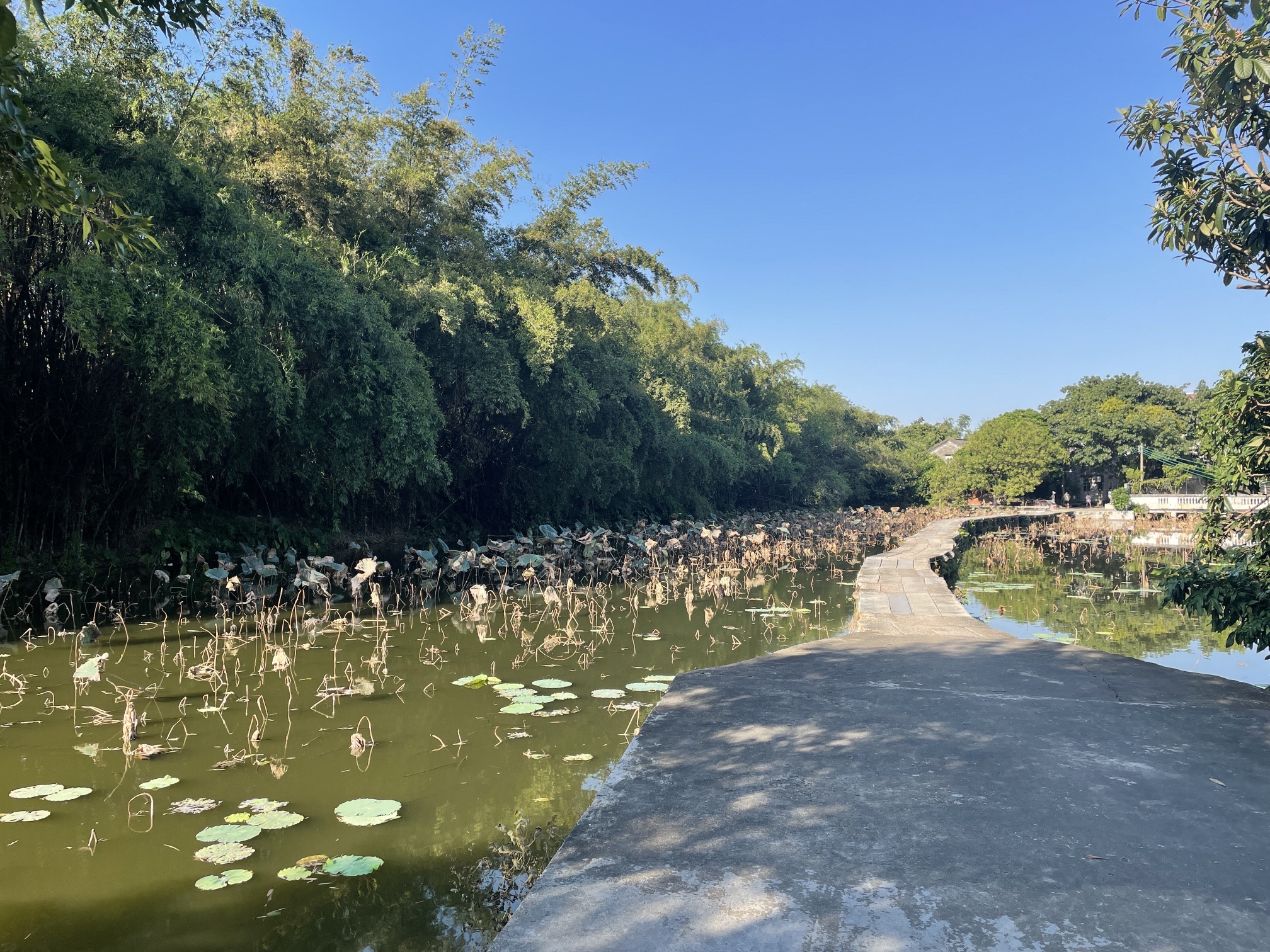 璜矶鹭鸟天堂旅行图片 3
