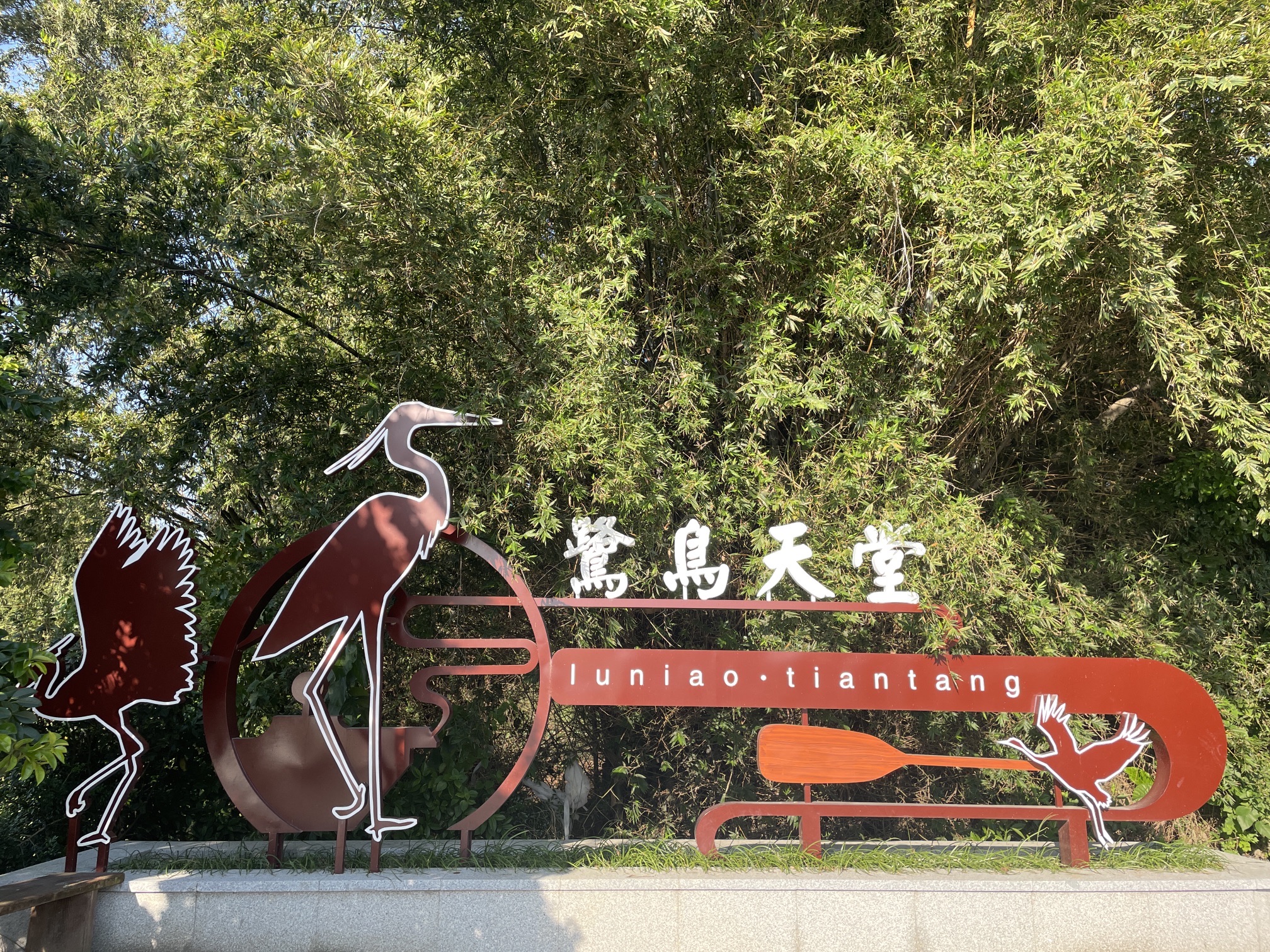 璜矶鹭鸟天堂旅行图片 1