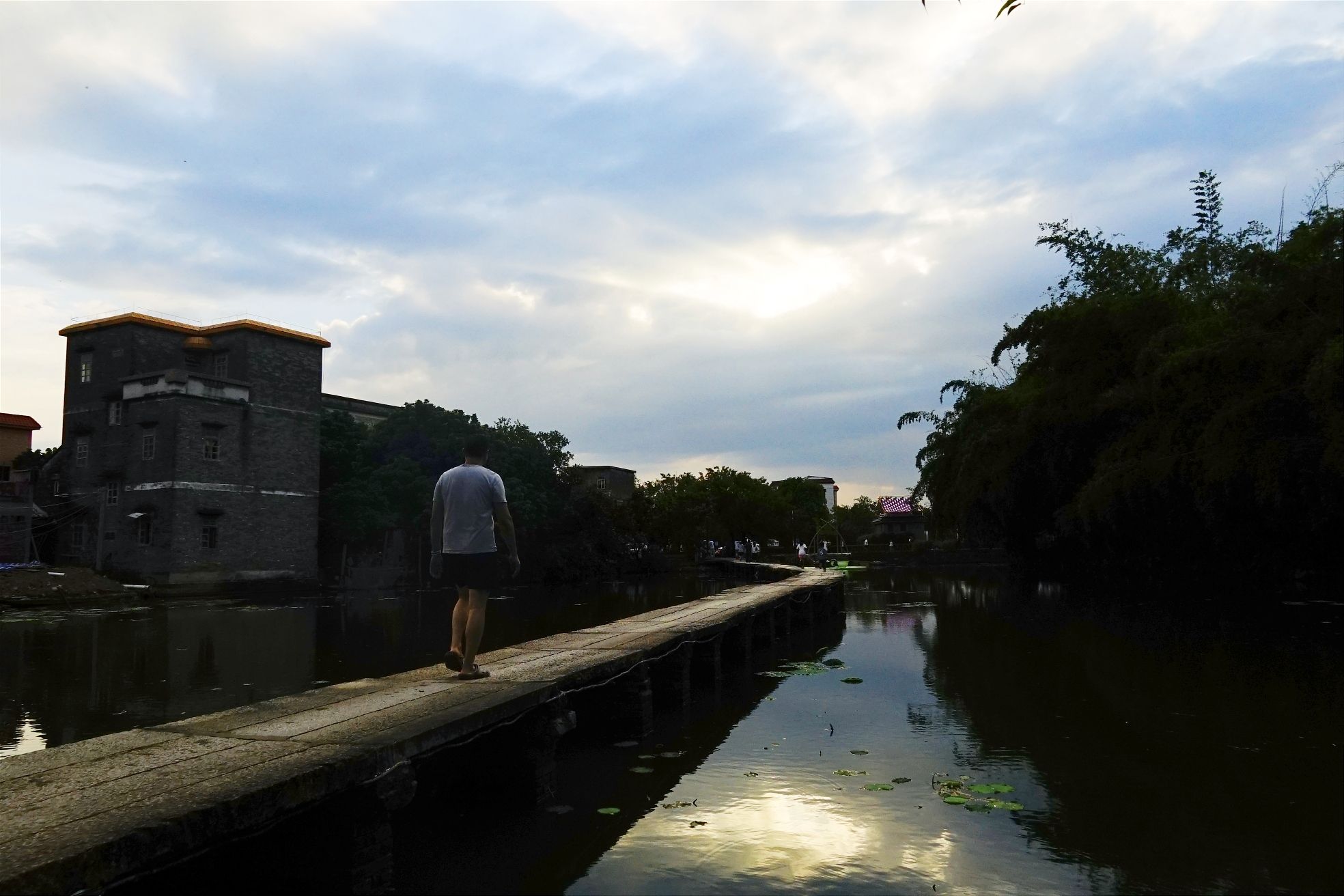 璜矶鹭鸟天堂旅行图片 2