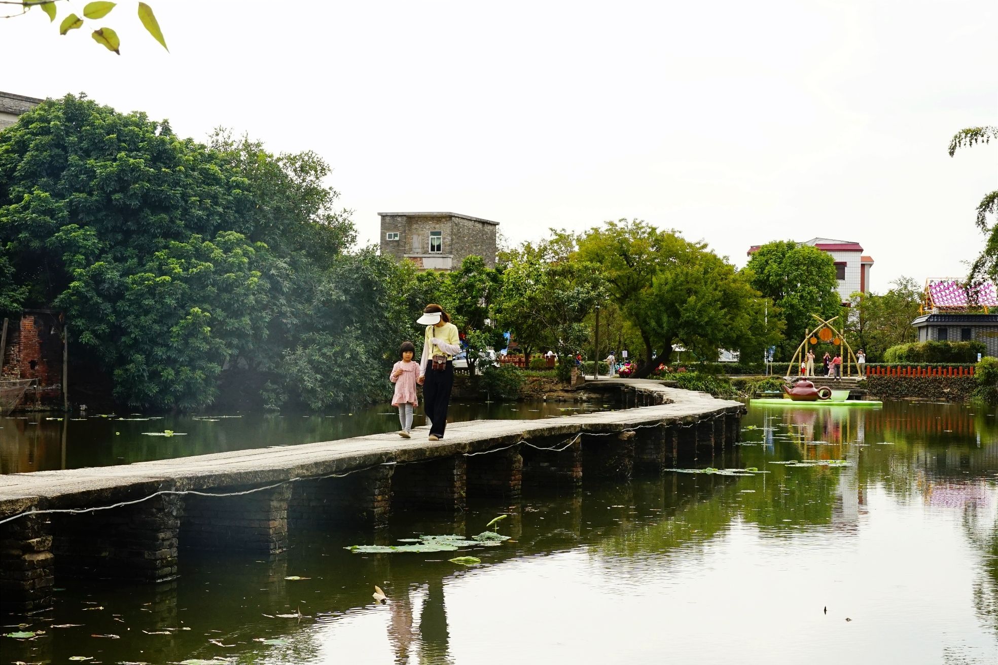 璜矶鹭鸟天堂旅行图片 1