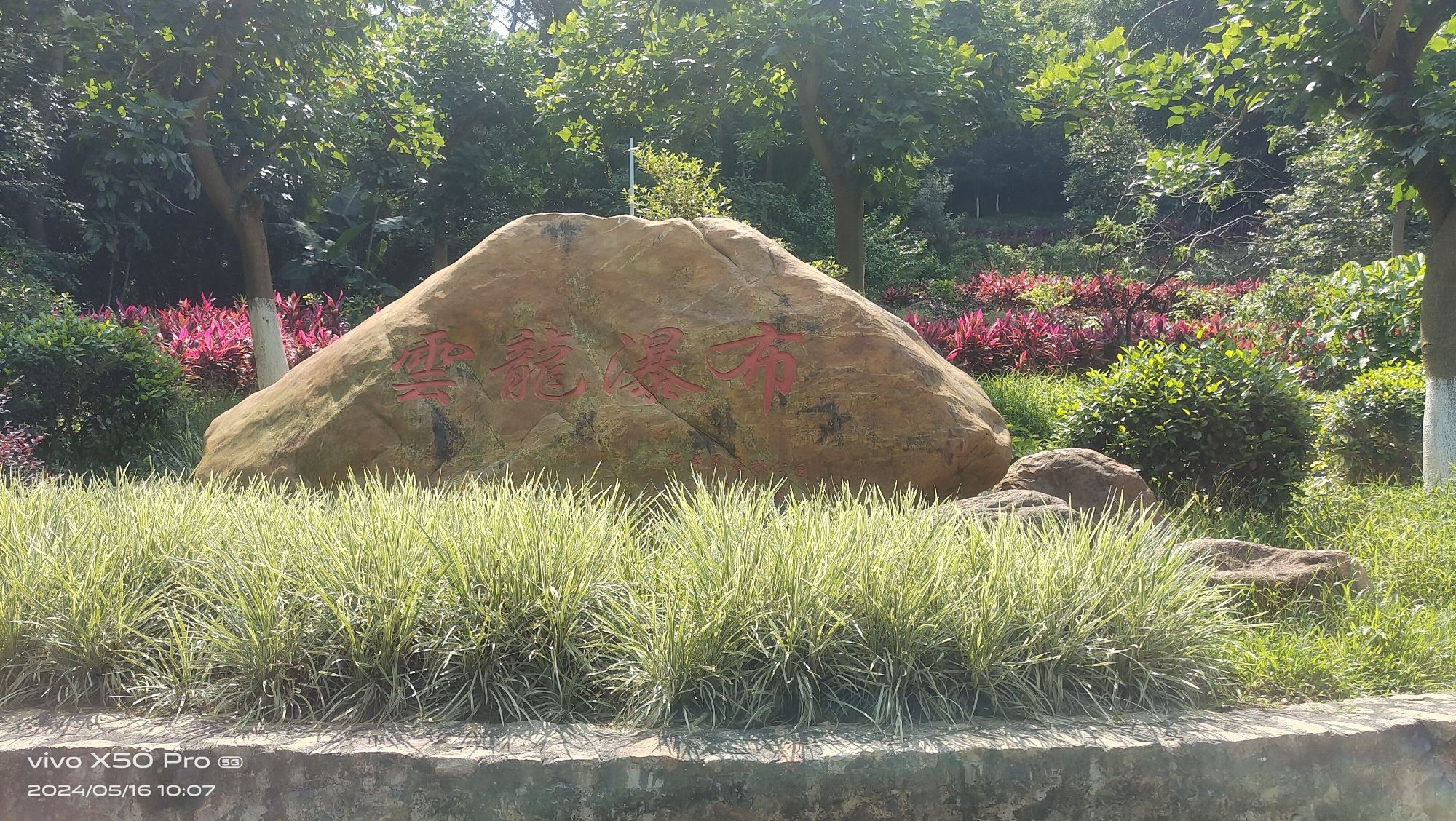 云勇林场旅行图片 2