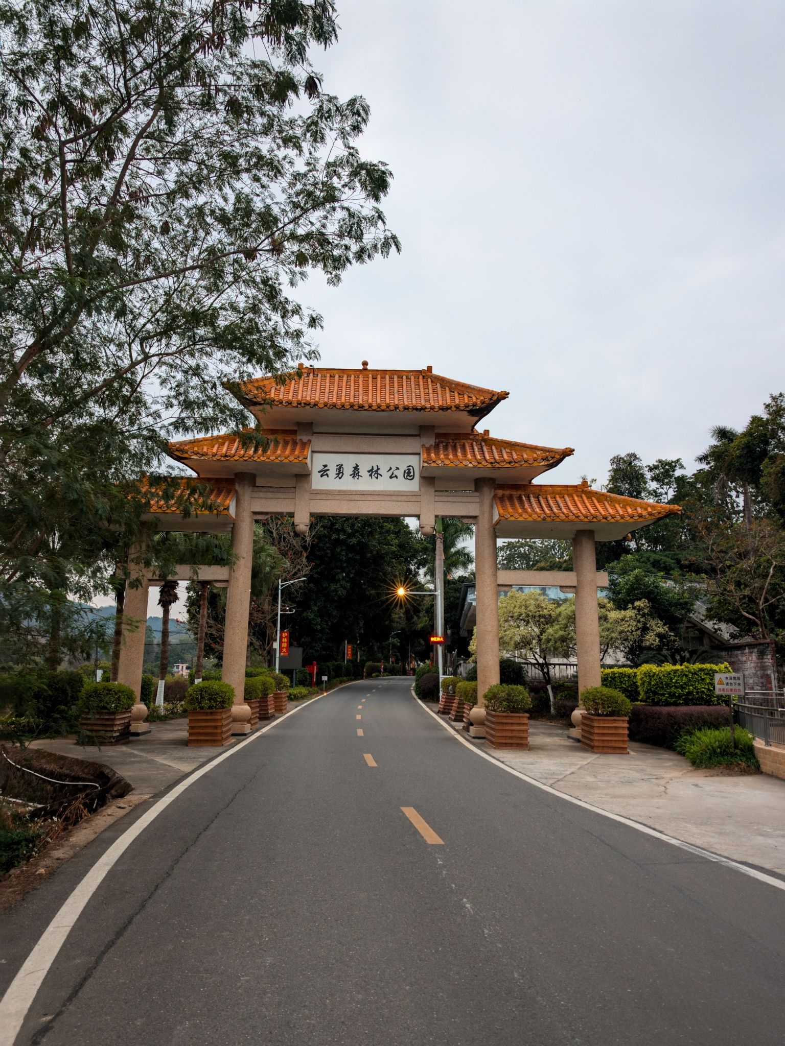 云勇林场旅行图片 1