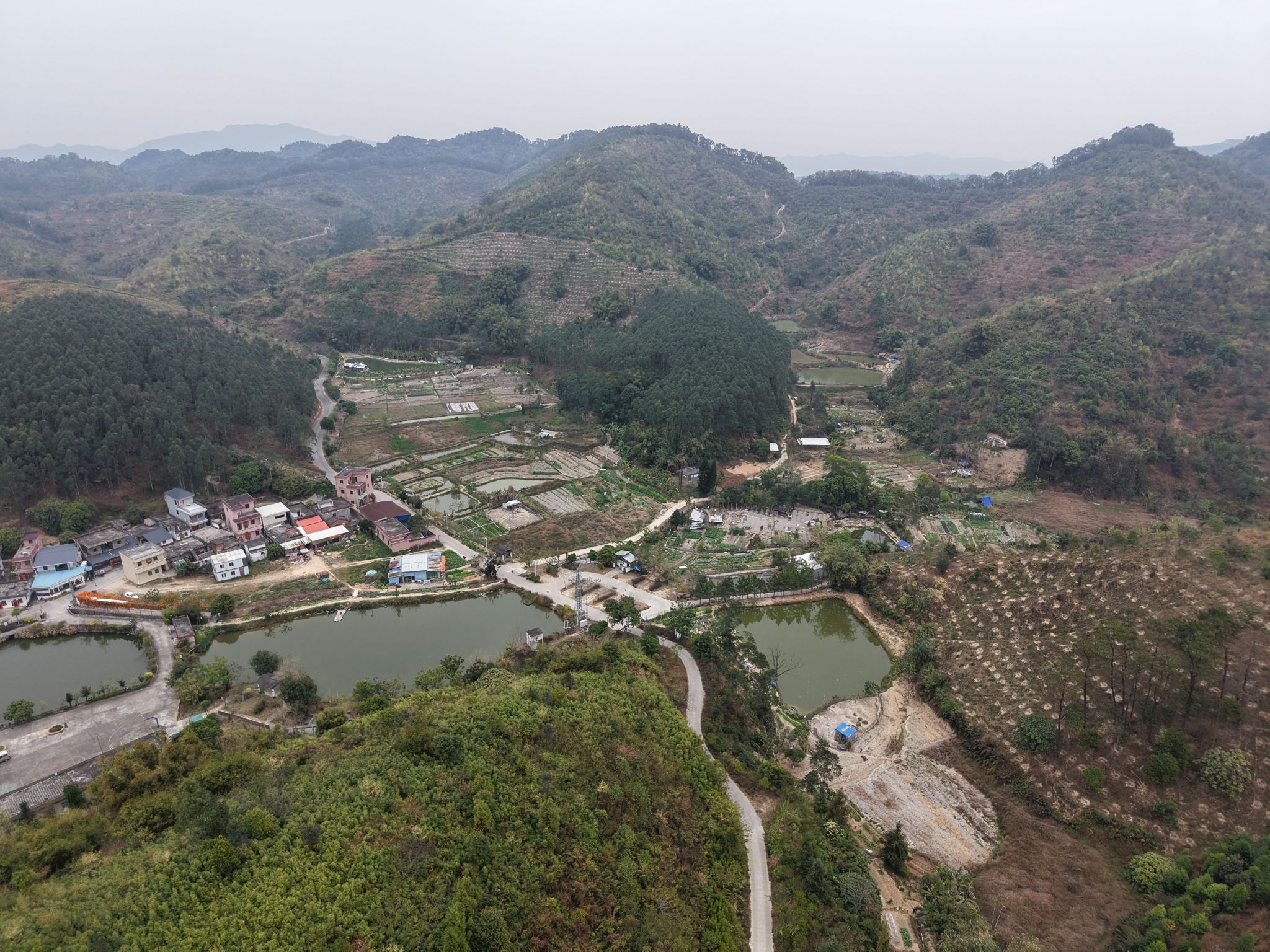 云勇林场旅行图片 2