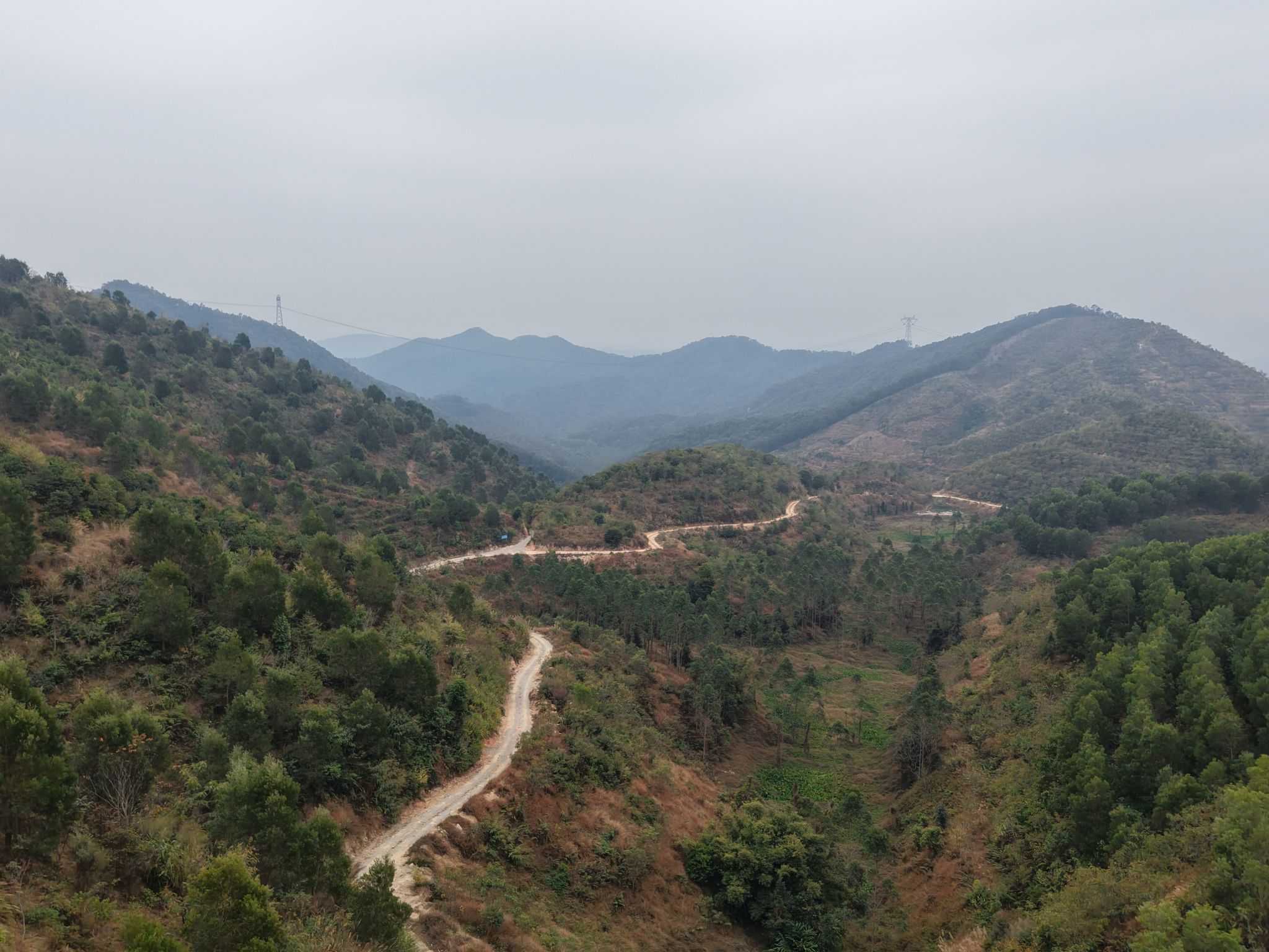 云勇林场旅行图片 3