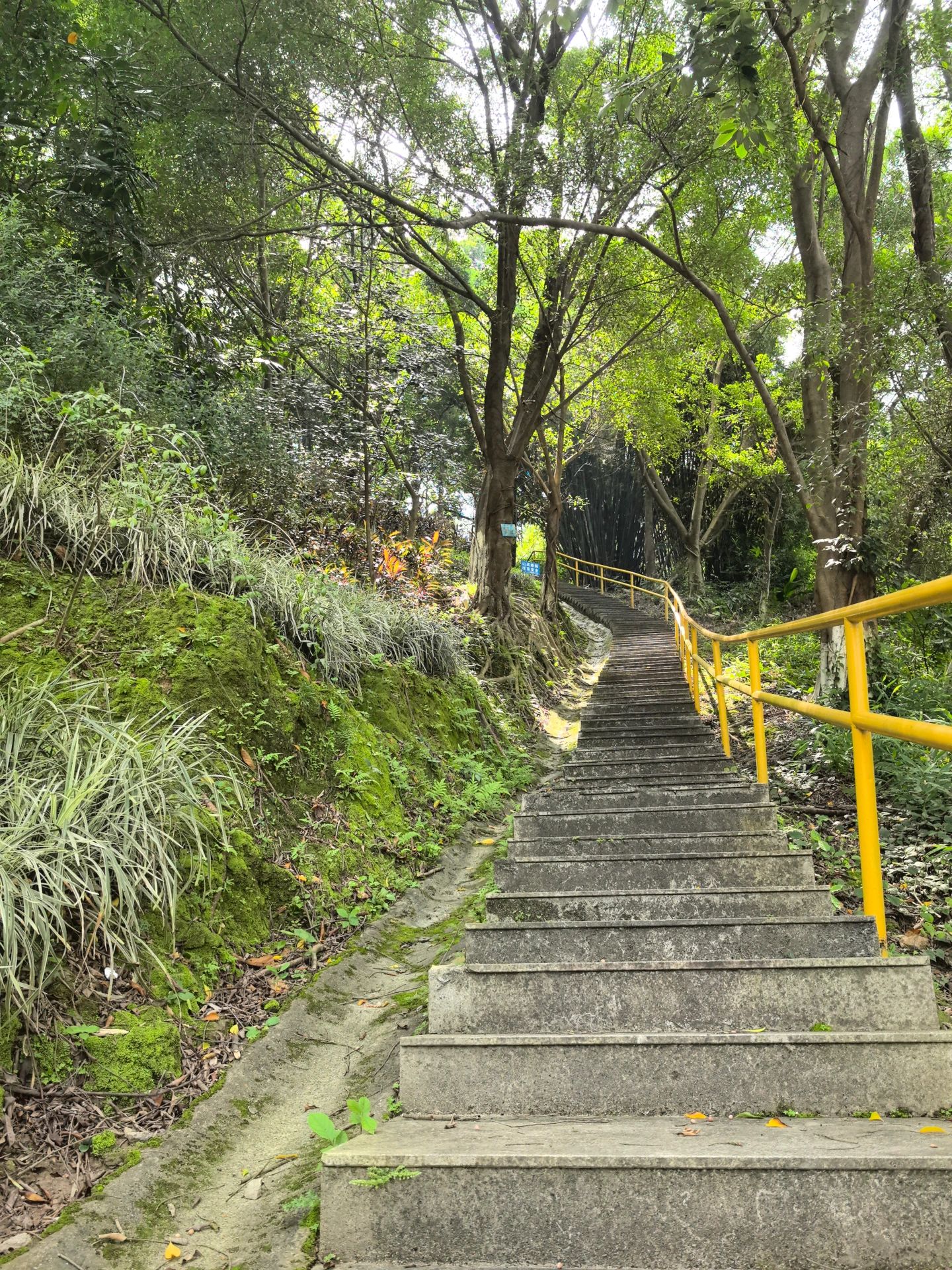 云勇林场旅行图片 2