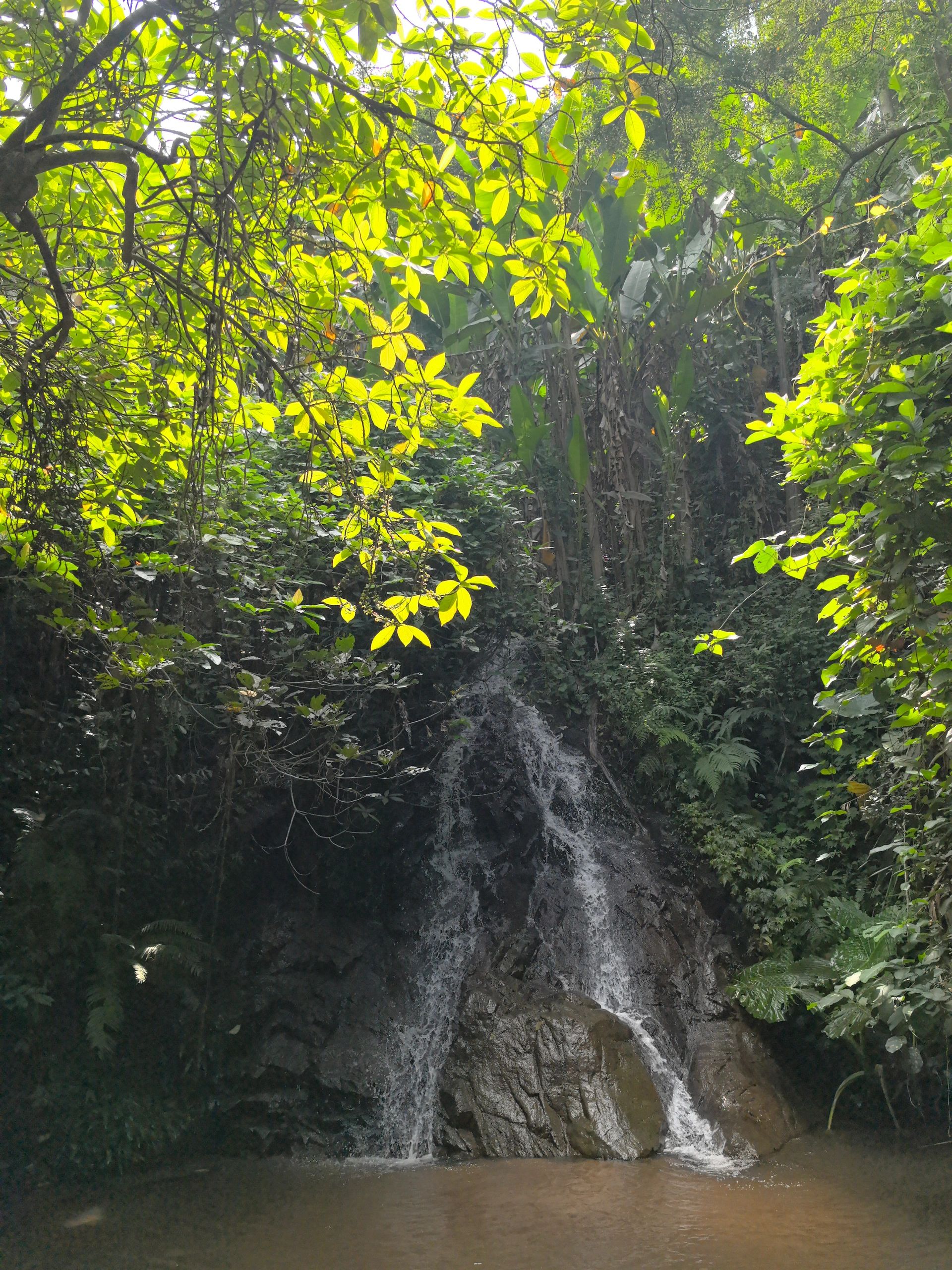 云勇林场旅行图片 1