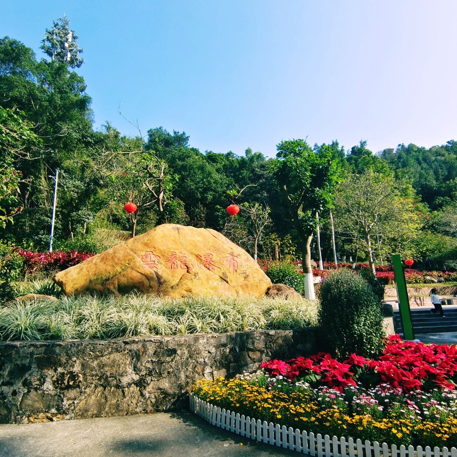 云勇林场旅行图片 2