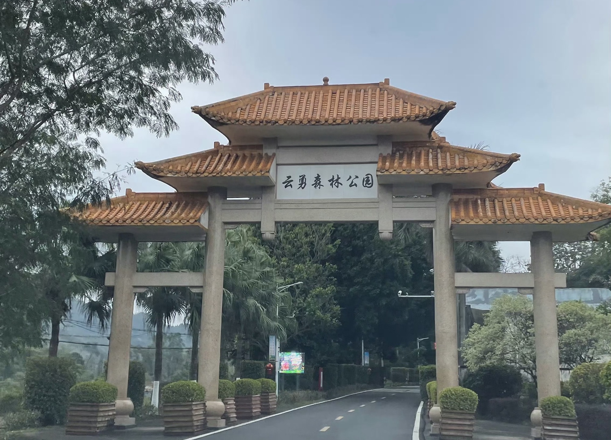 云勇林场旅行图片 3