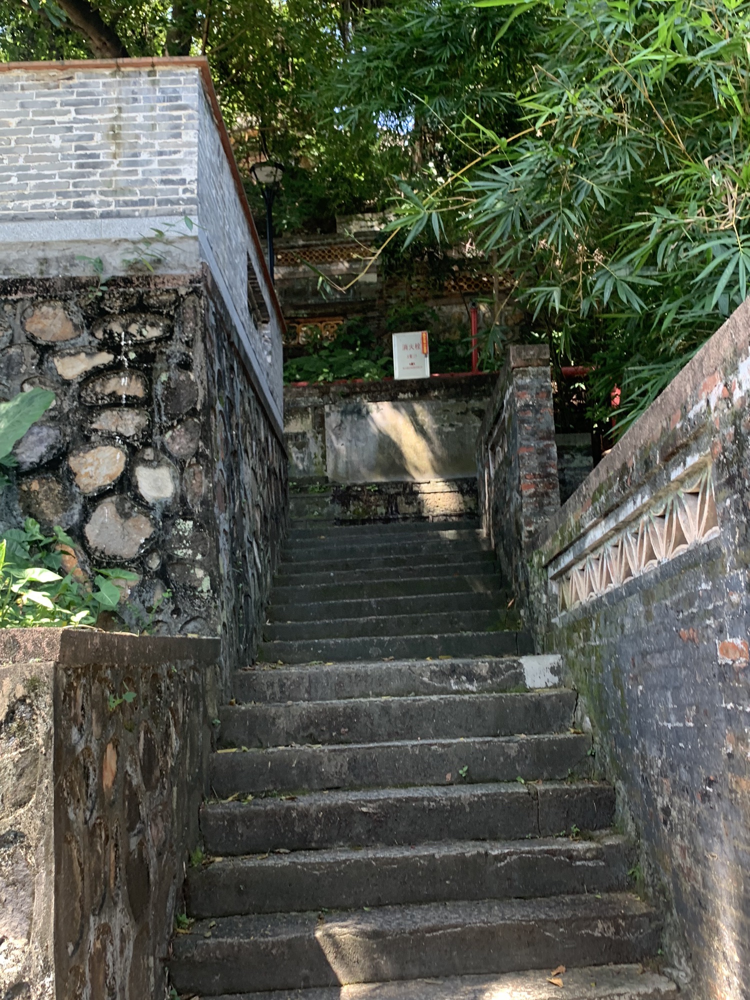 锦岩公园旅行图片 3
