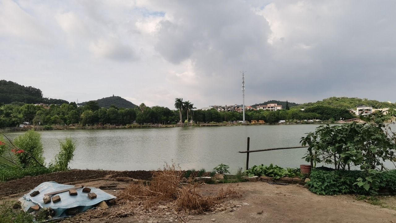 顺峰山旅游区旅行图片 1