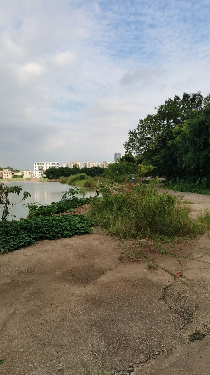 顺峰山旅游区旅行图片 2