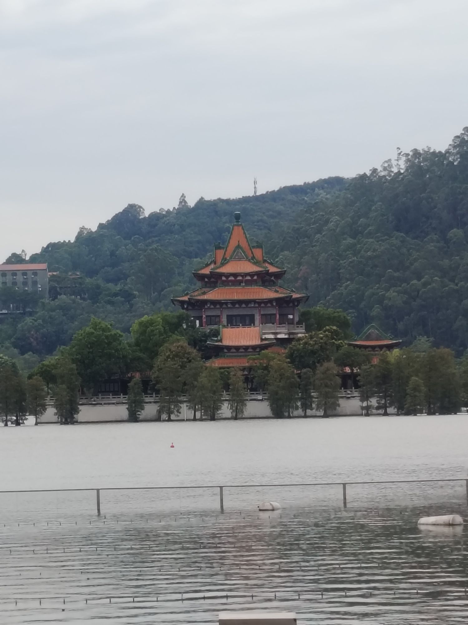 顺峰山公园旅行图片 3