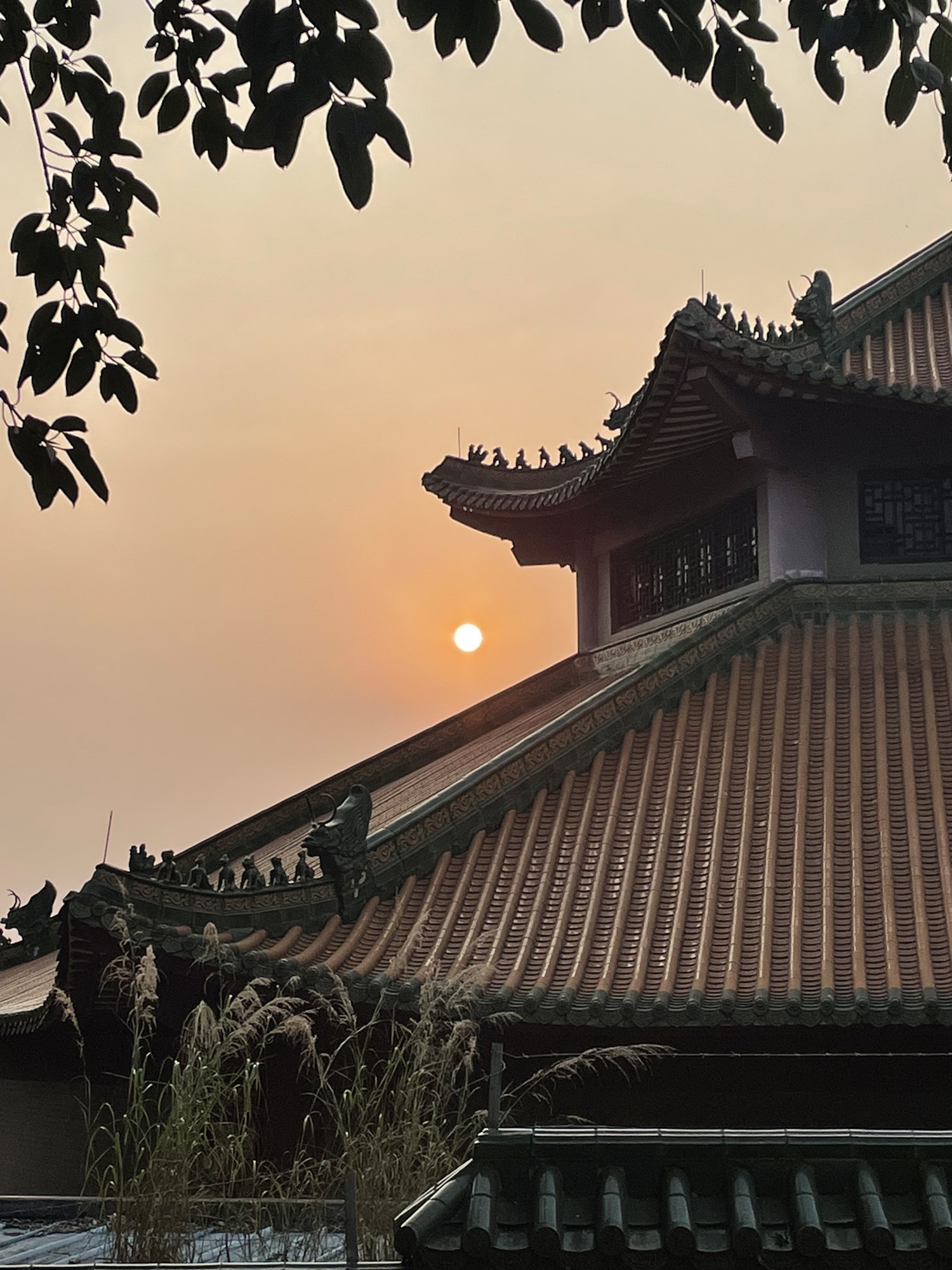 顺峰山公园旅行图片 3