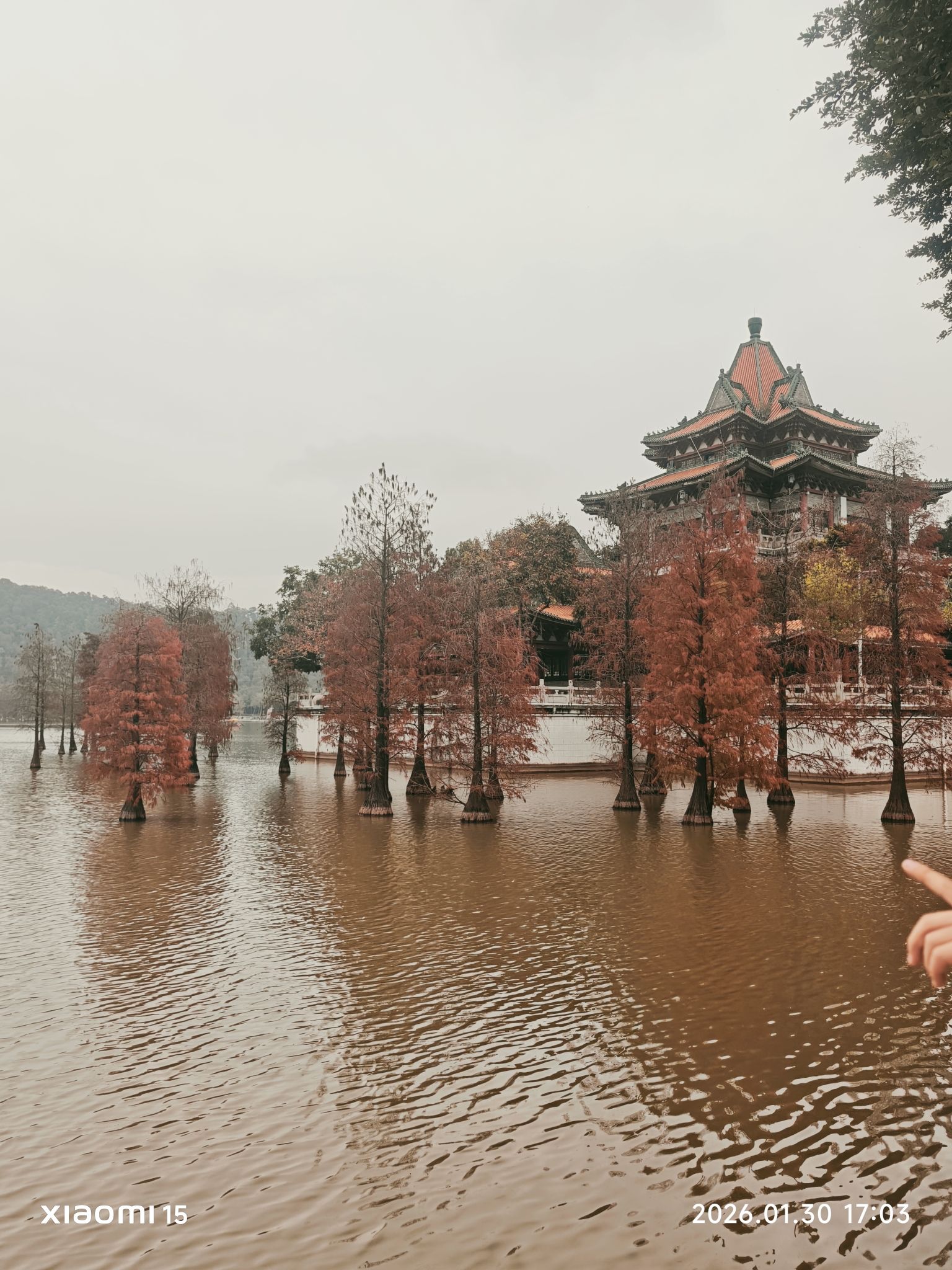 顺峰山公园旅行图片 3