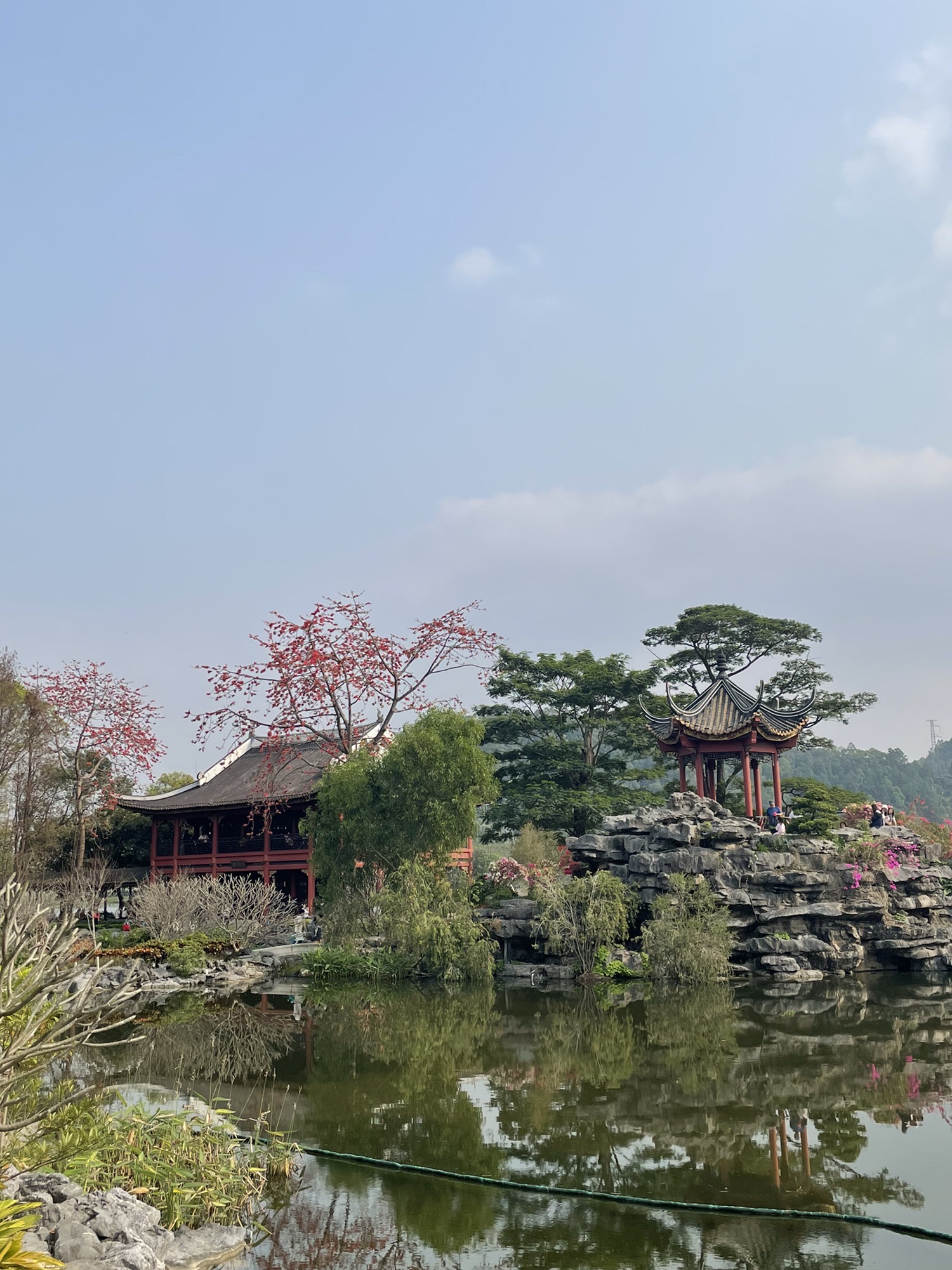 顺峰山公园旅行图片 2