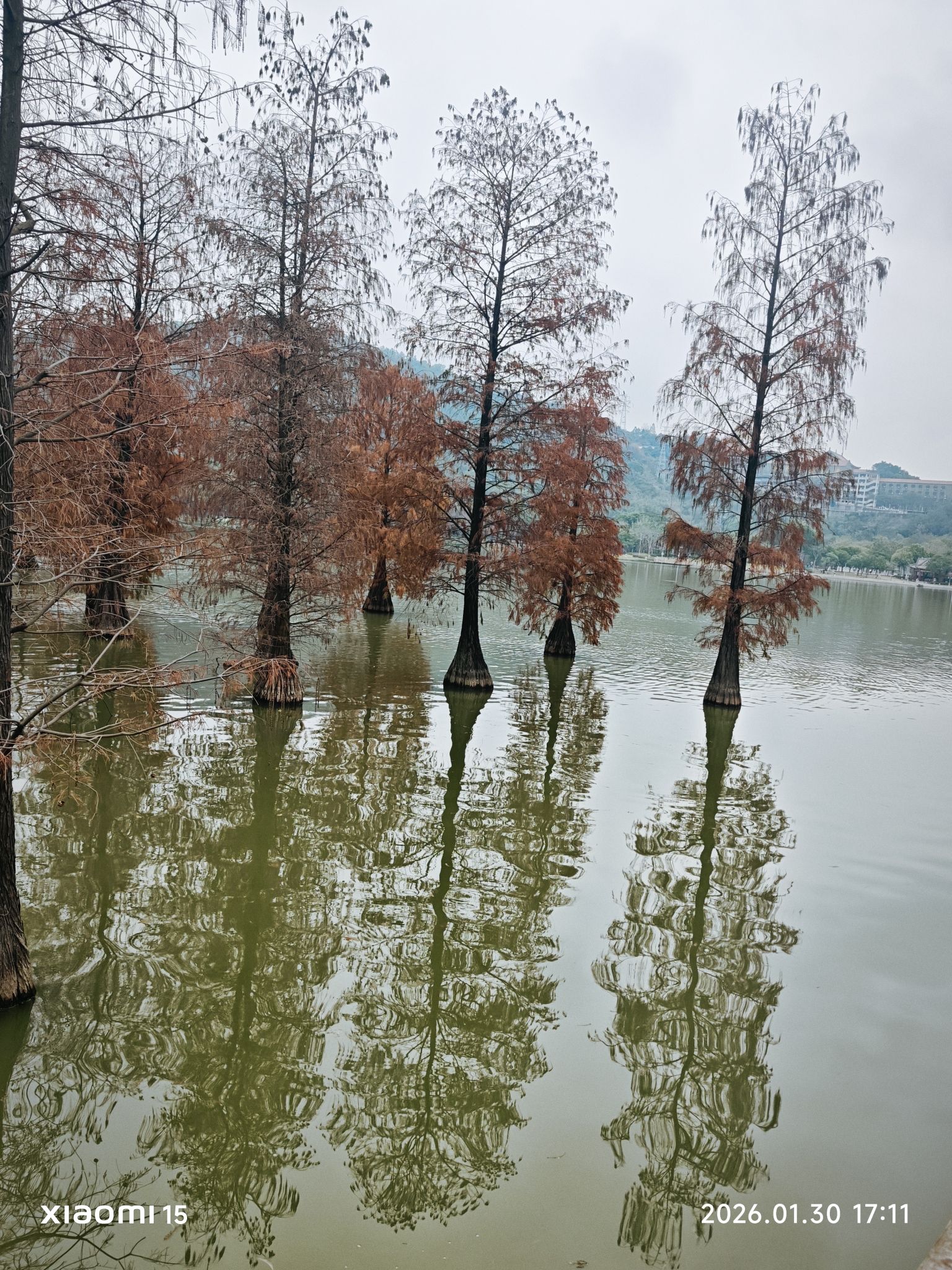 顺峰山公园旅行图片 2