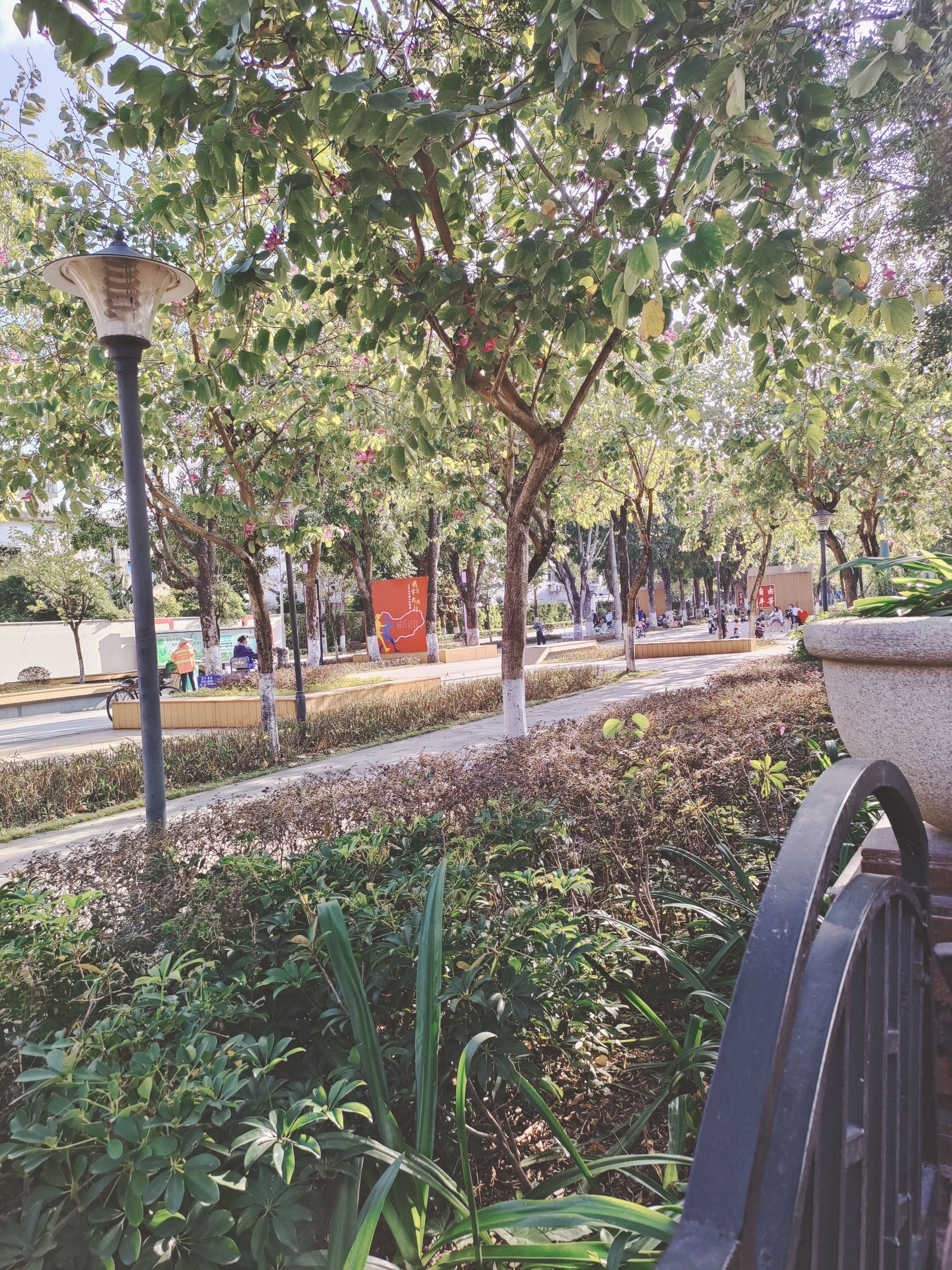 花溪公园旅行图片 1