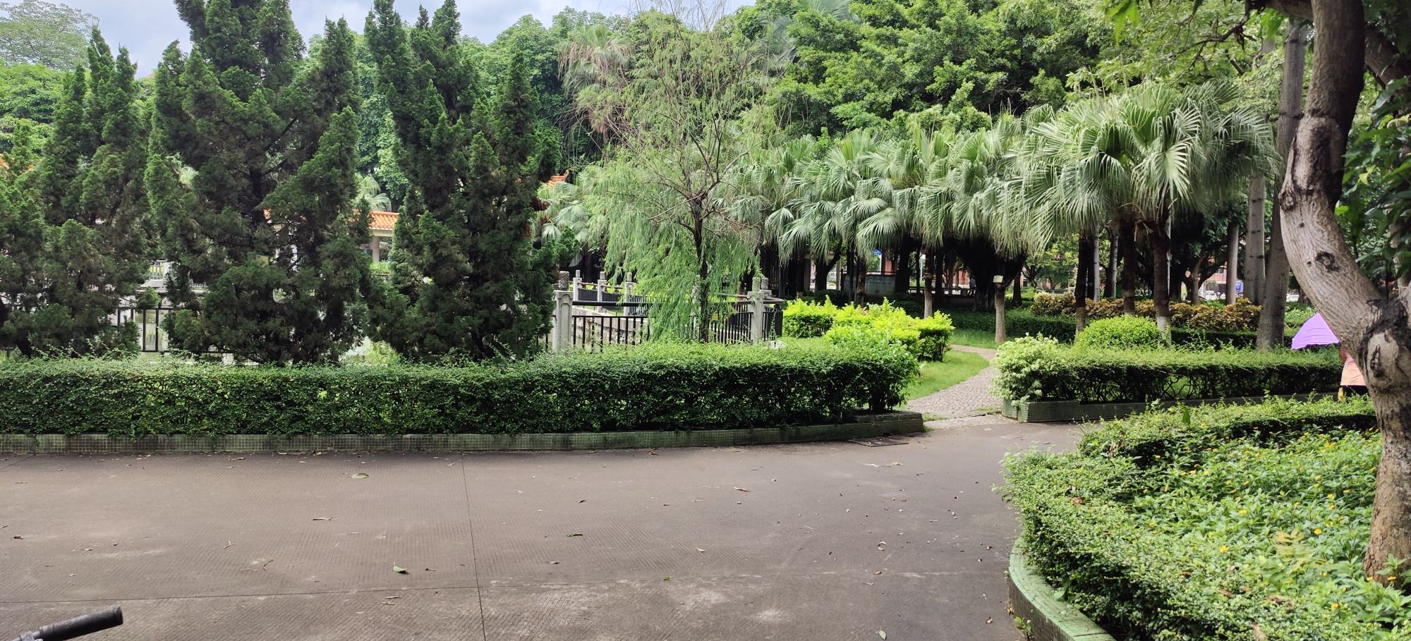 容里公园旅行图片 1