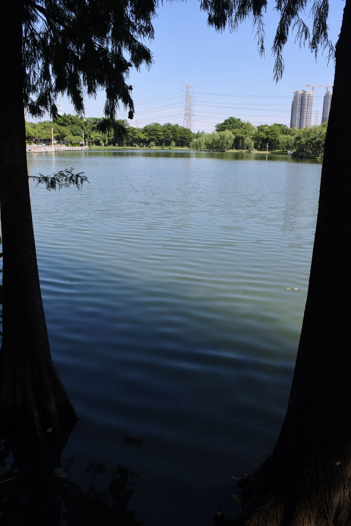 容里公园旅行图片 3