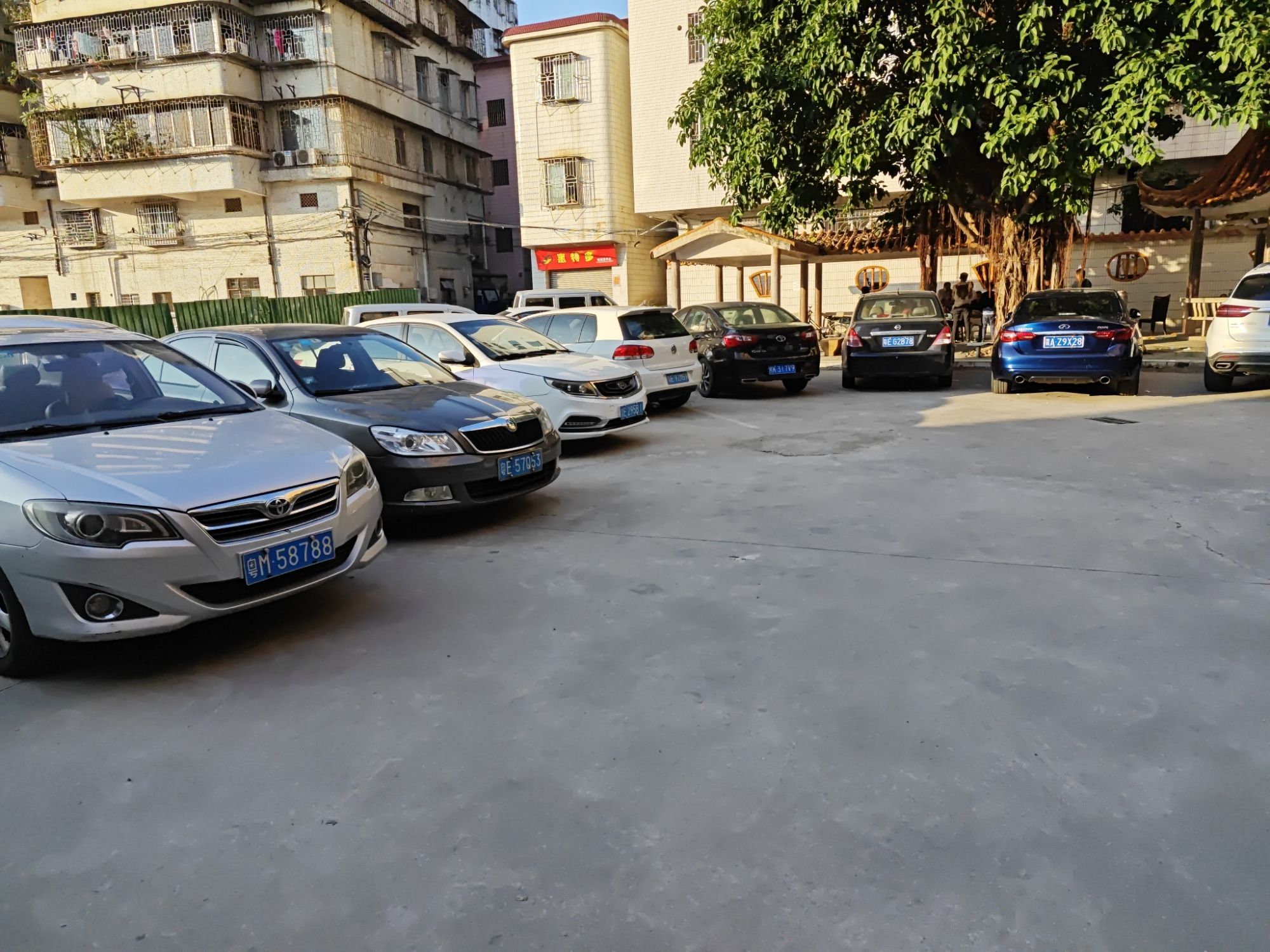 河西公园旅行图片 2