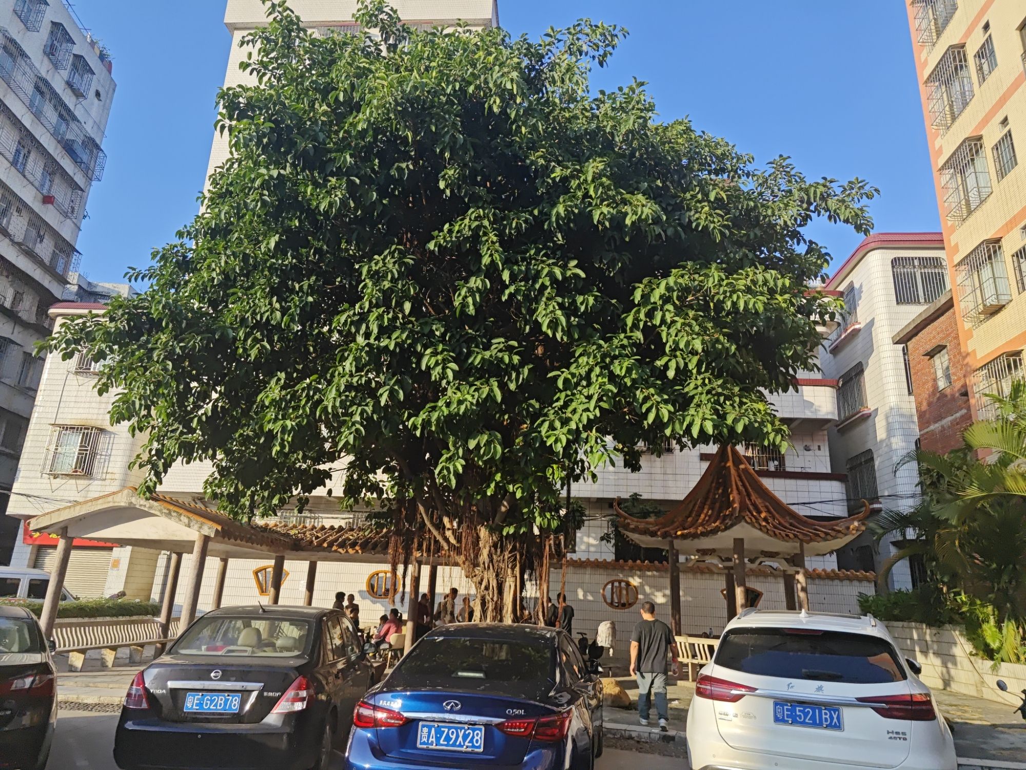 河西公园旅行图片 3