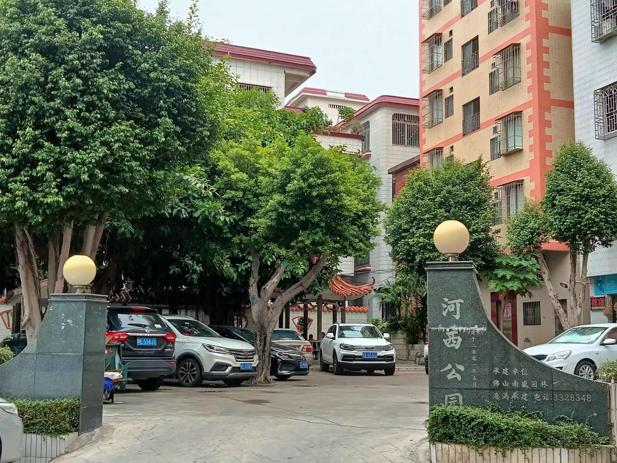 河西公园旅行图片 1