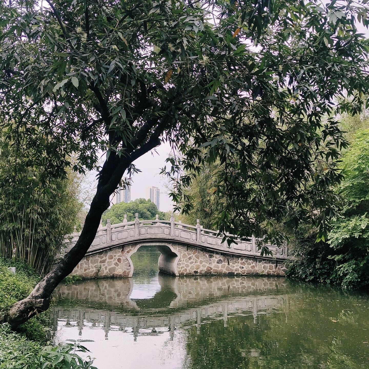 中山公园旅行图片 2