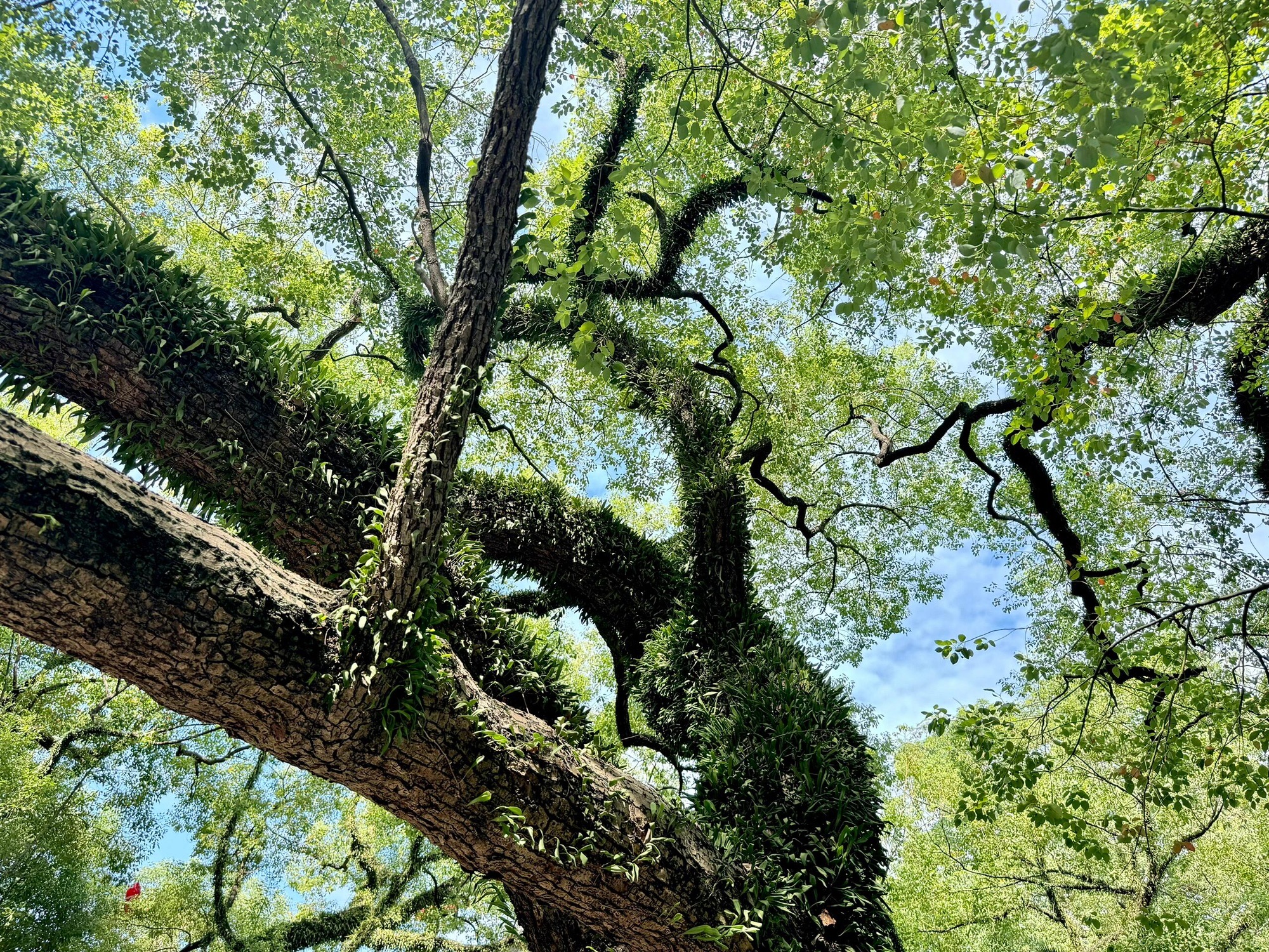 中山公园旅行图片 2