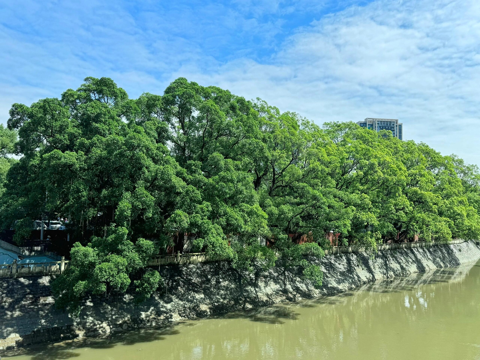 中山公园旅行图片 3